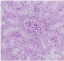 Pharmaceuticals 18 01134 i013 Pharmaceuticals 18 01134 i013