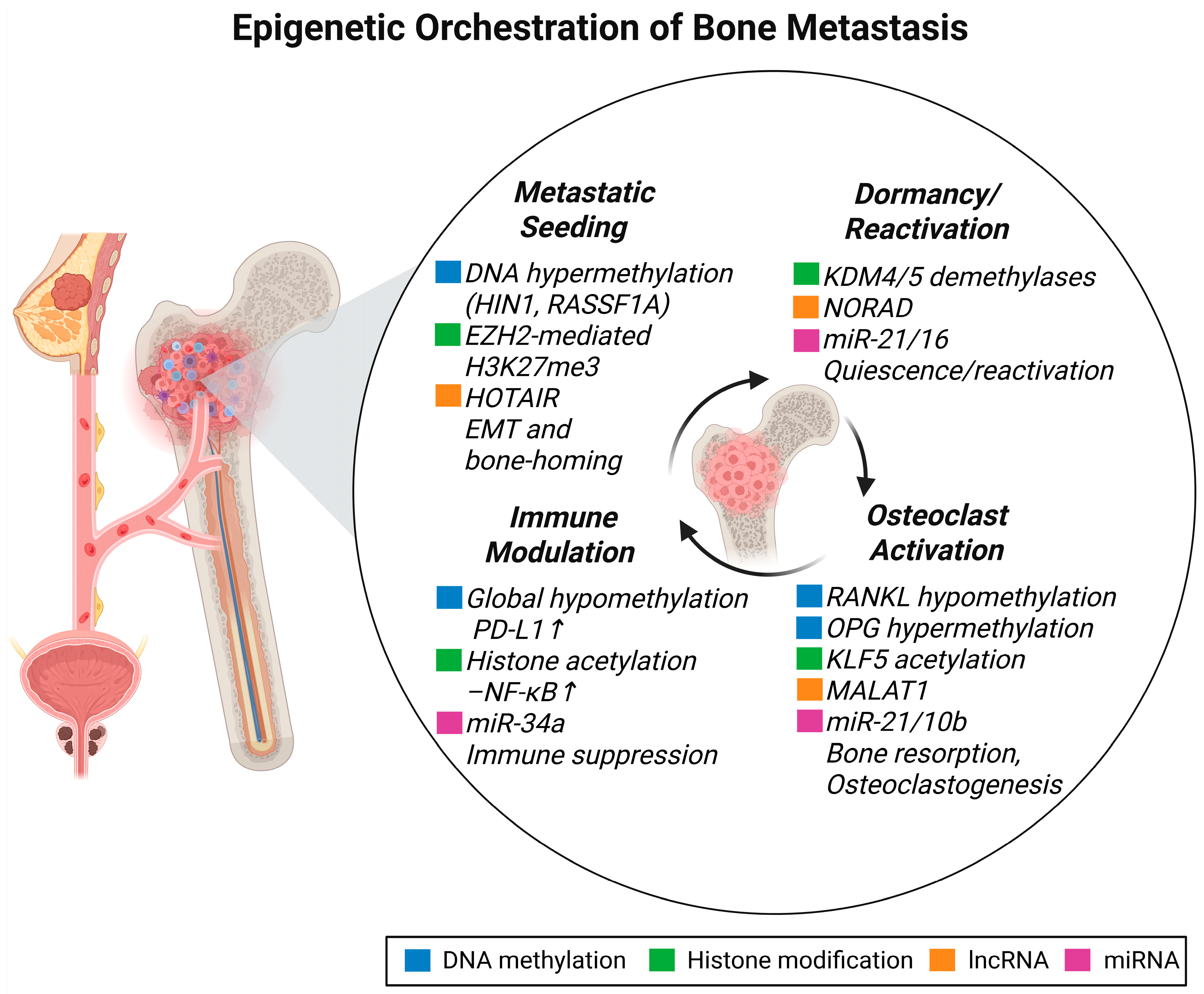 Pharmaceuticals 18 01140 g002