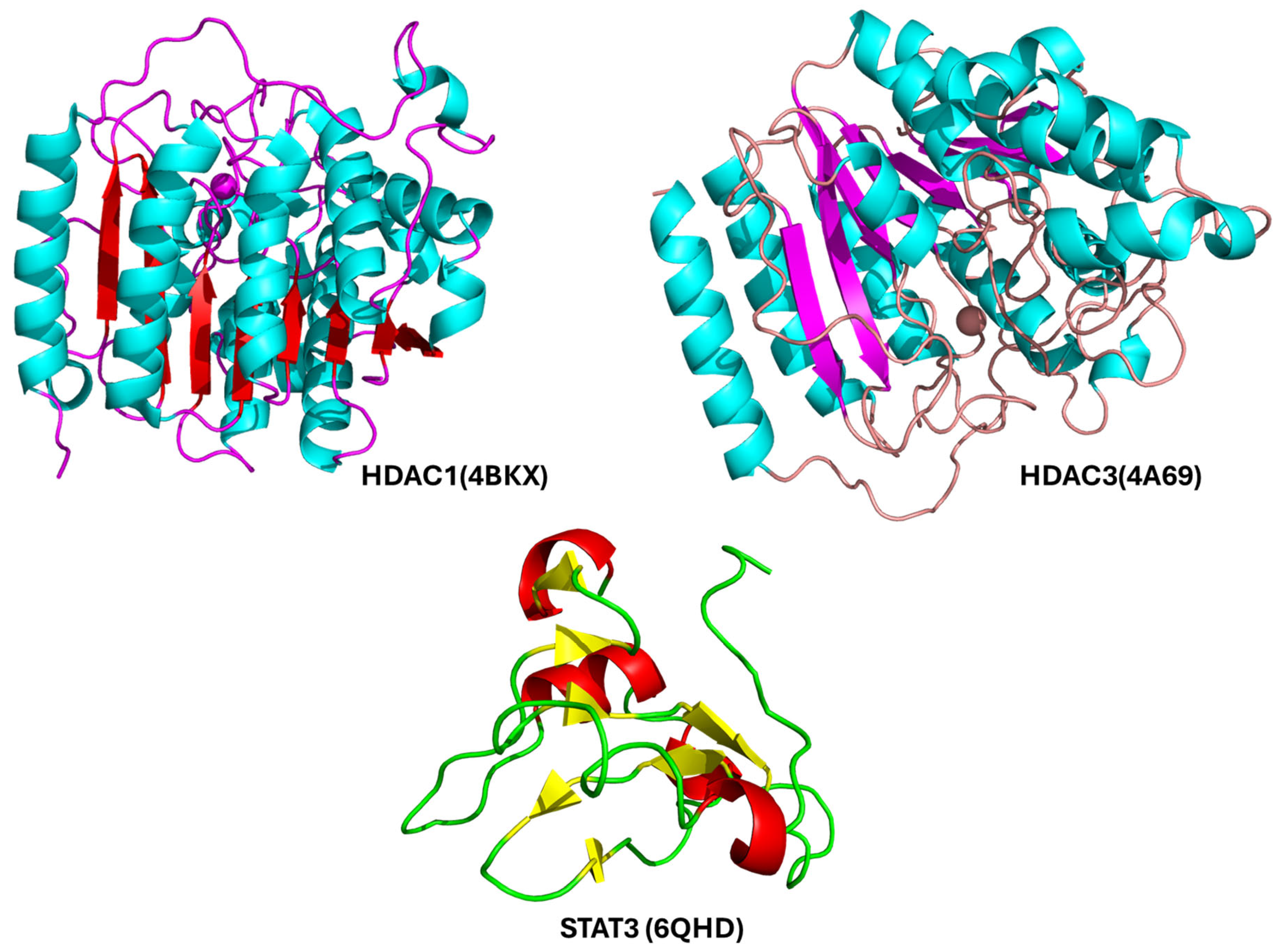 Pharmaceuticals 18 01144 g005 Pharmaceuticals 18 01144 g005