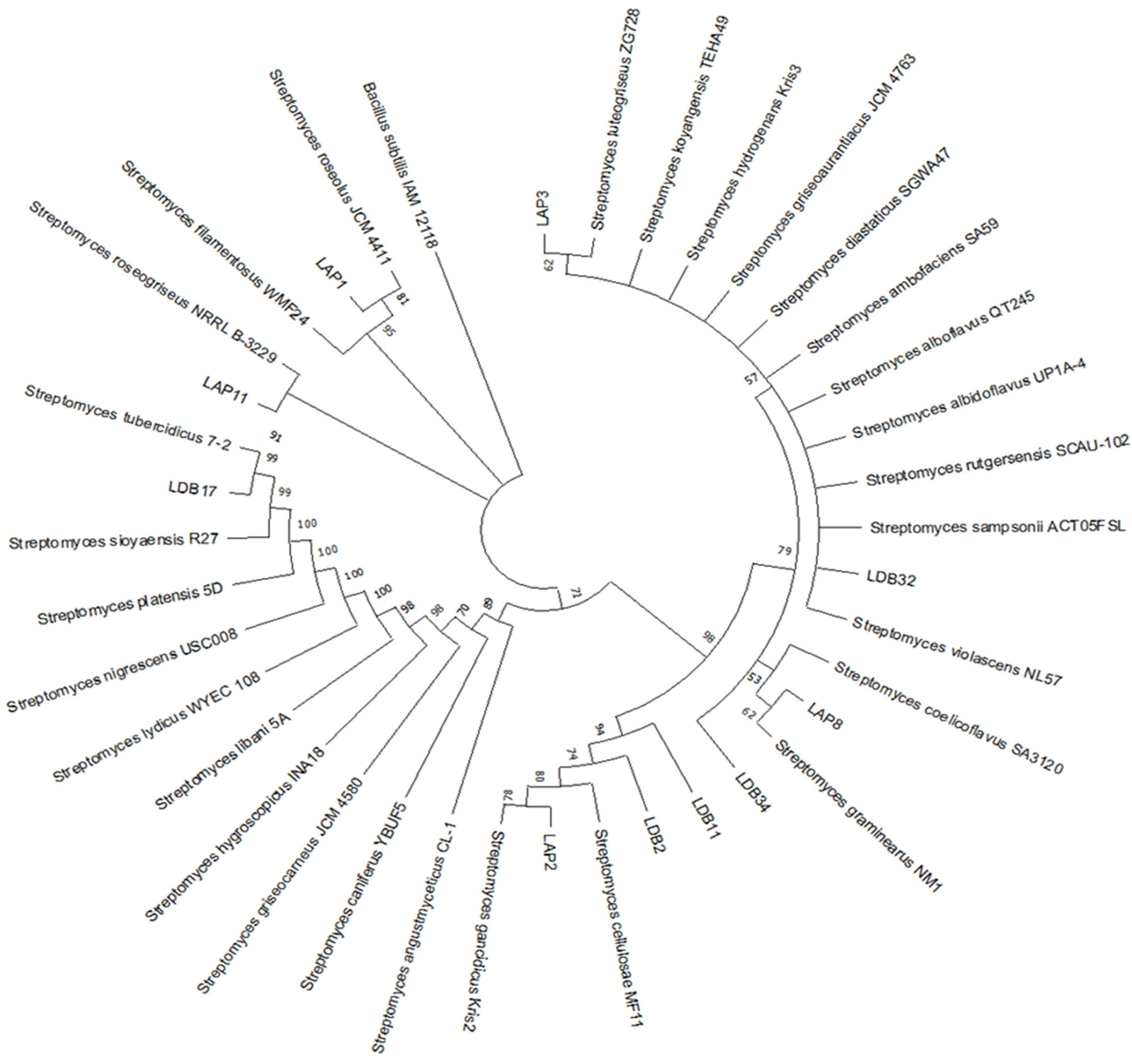 Pharmaceuticals 18 01158 g001