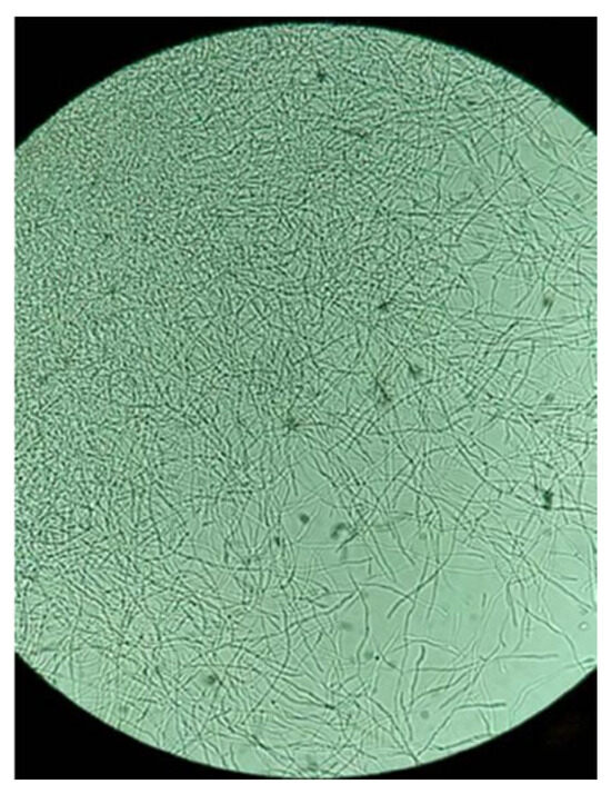 Pharmaceuticals 18 01158 g0a3