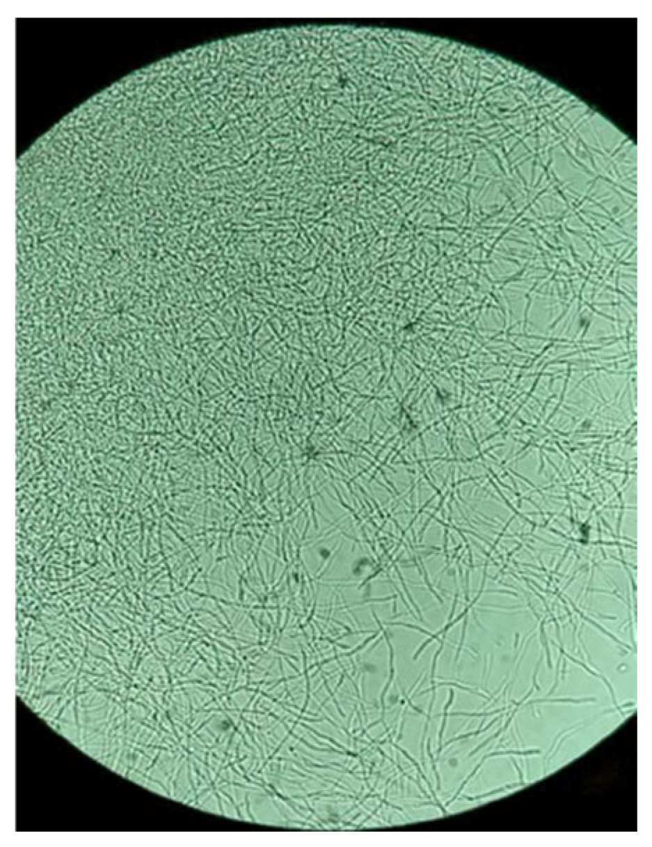 Pharmaceuticals 18 01158 g0a3