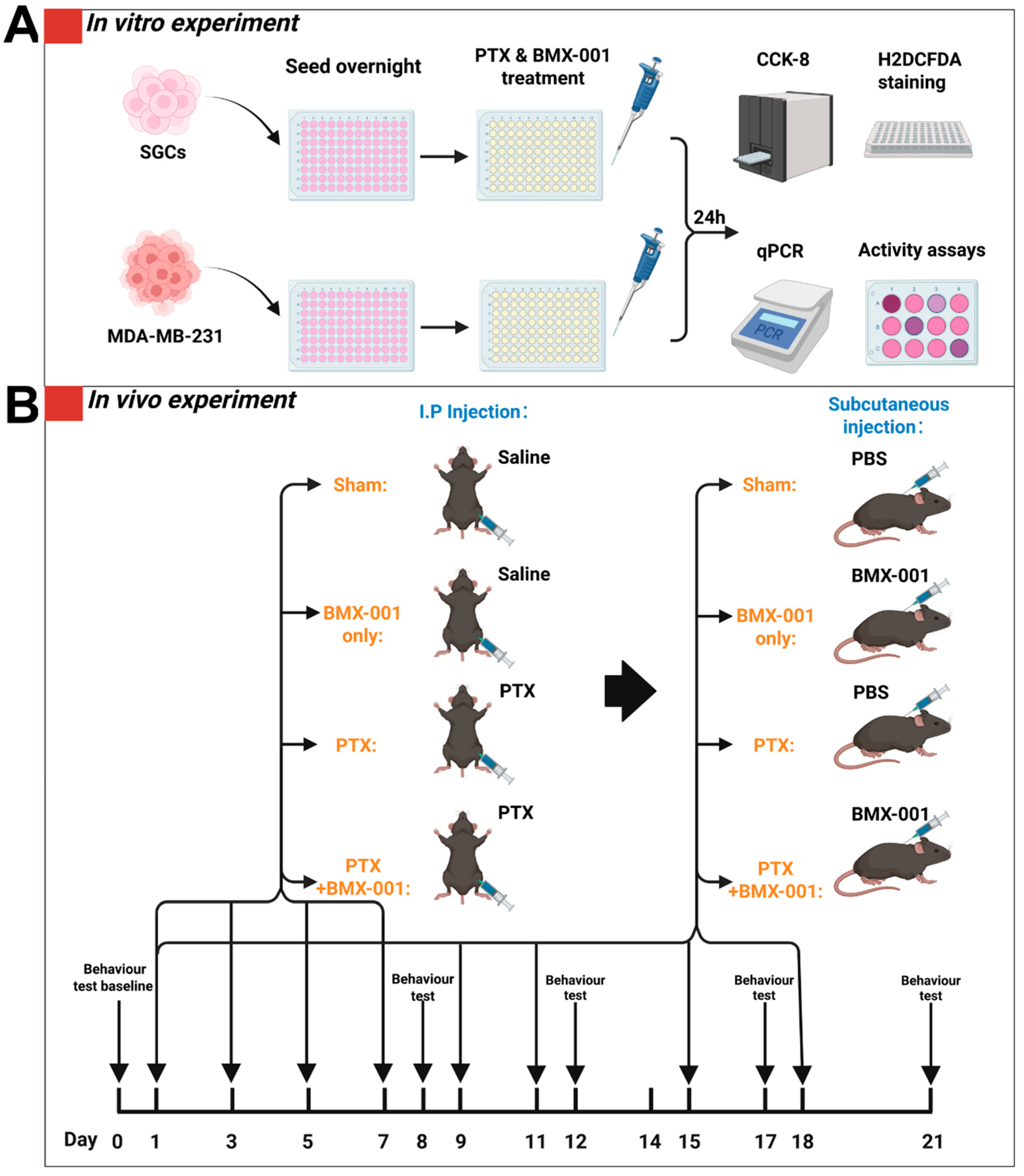 Pharmaceuticals 18 01159 g001