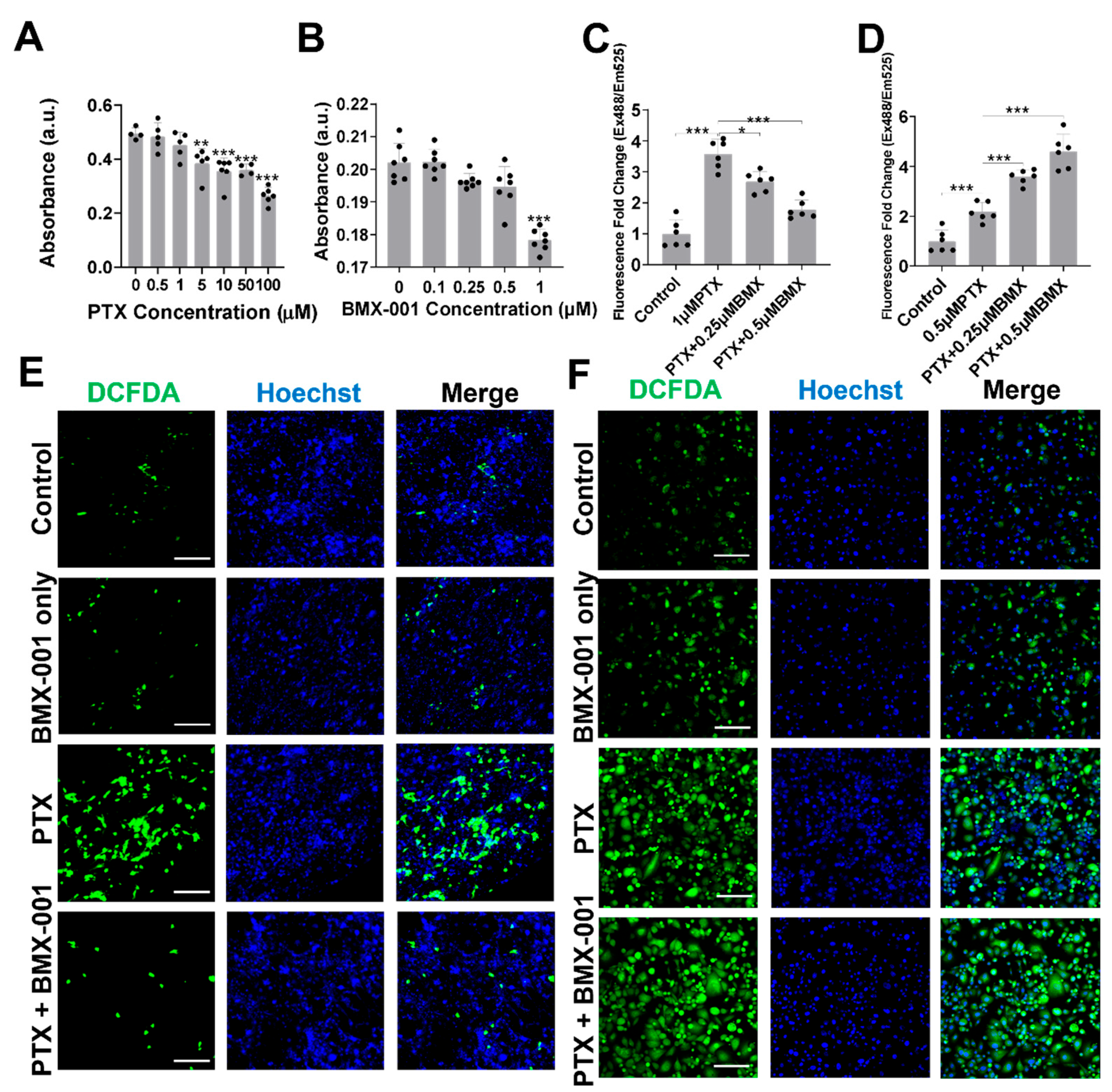 Pharmaceuticals 18 01159 g002