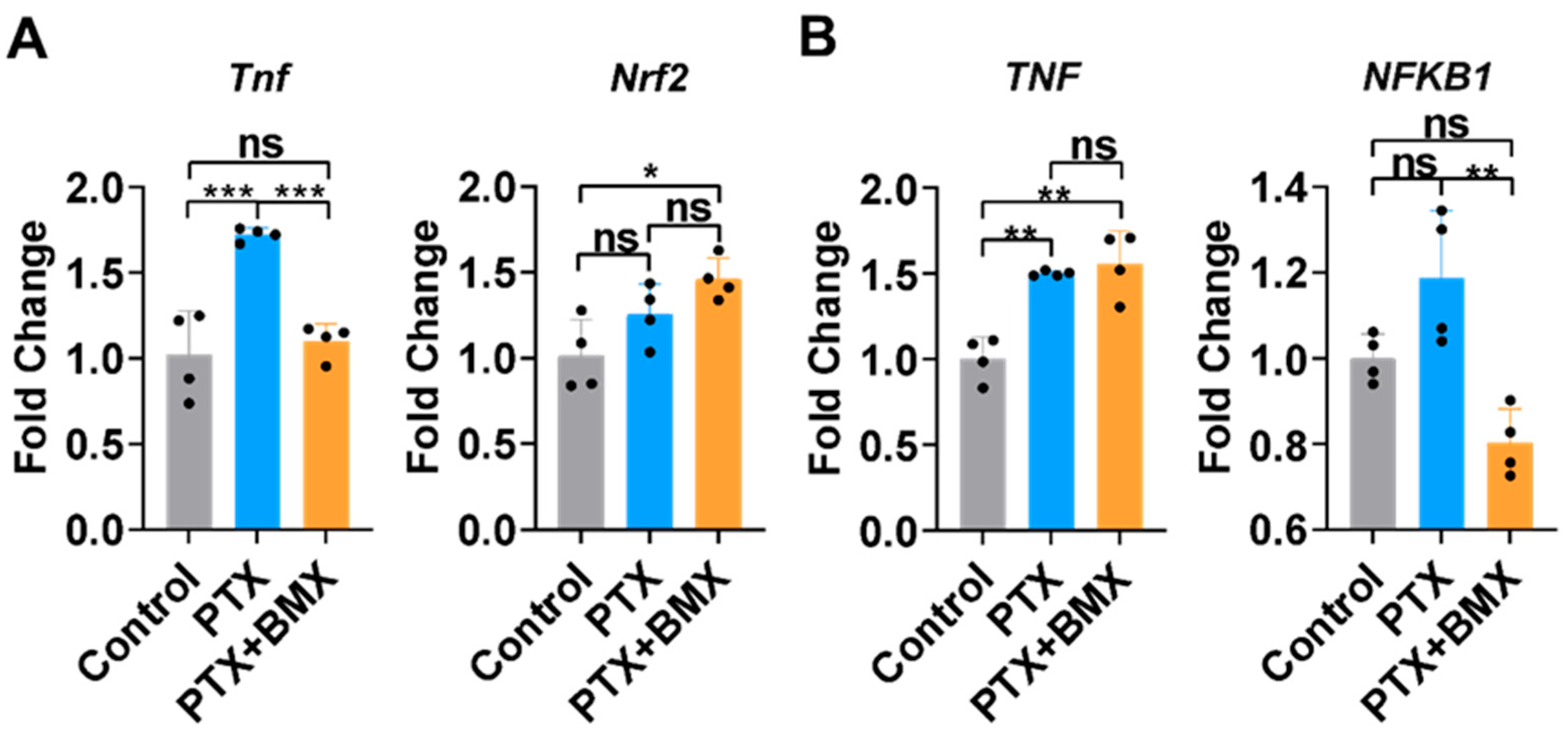 Pharmaceuticals 18 01159 g003