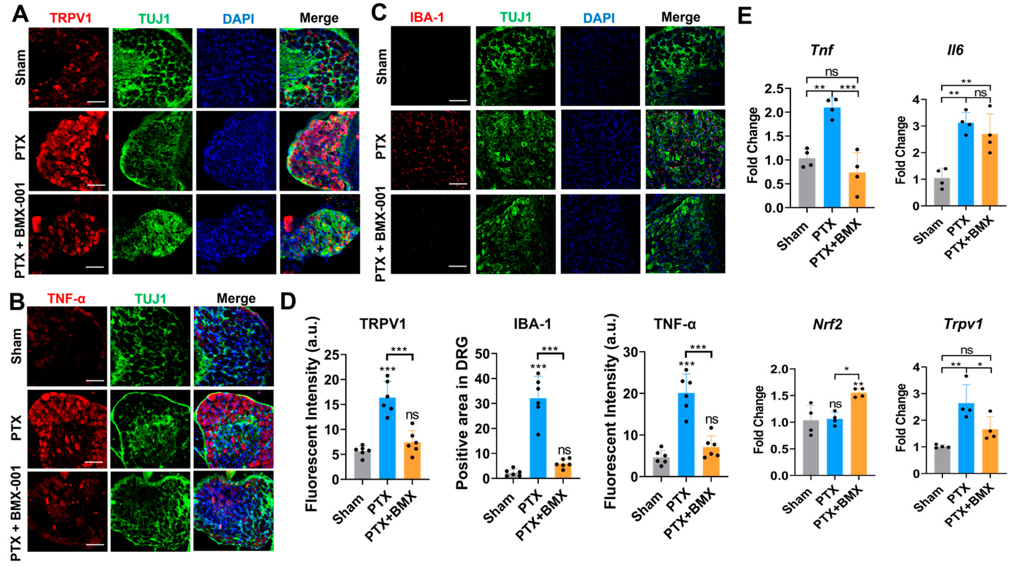 Pharmaceuticals 18 01159 g006