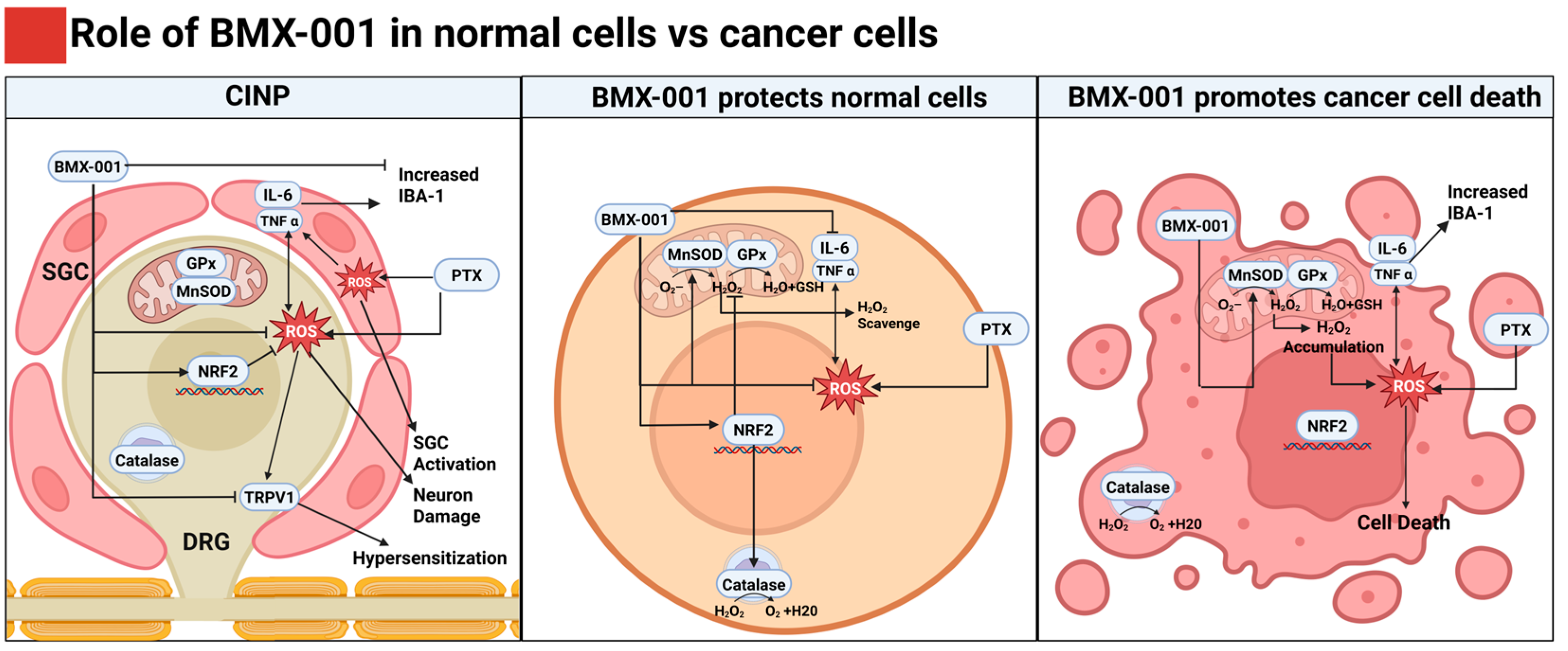 Pharmaceuticals 18 01159 g007
