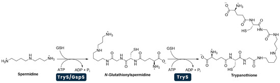 Pharmaceuticals 18 01182 g002