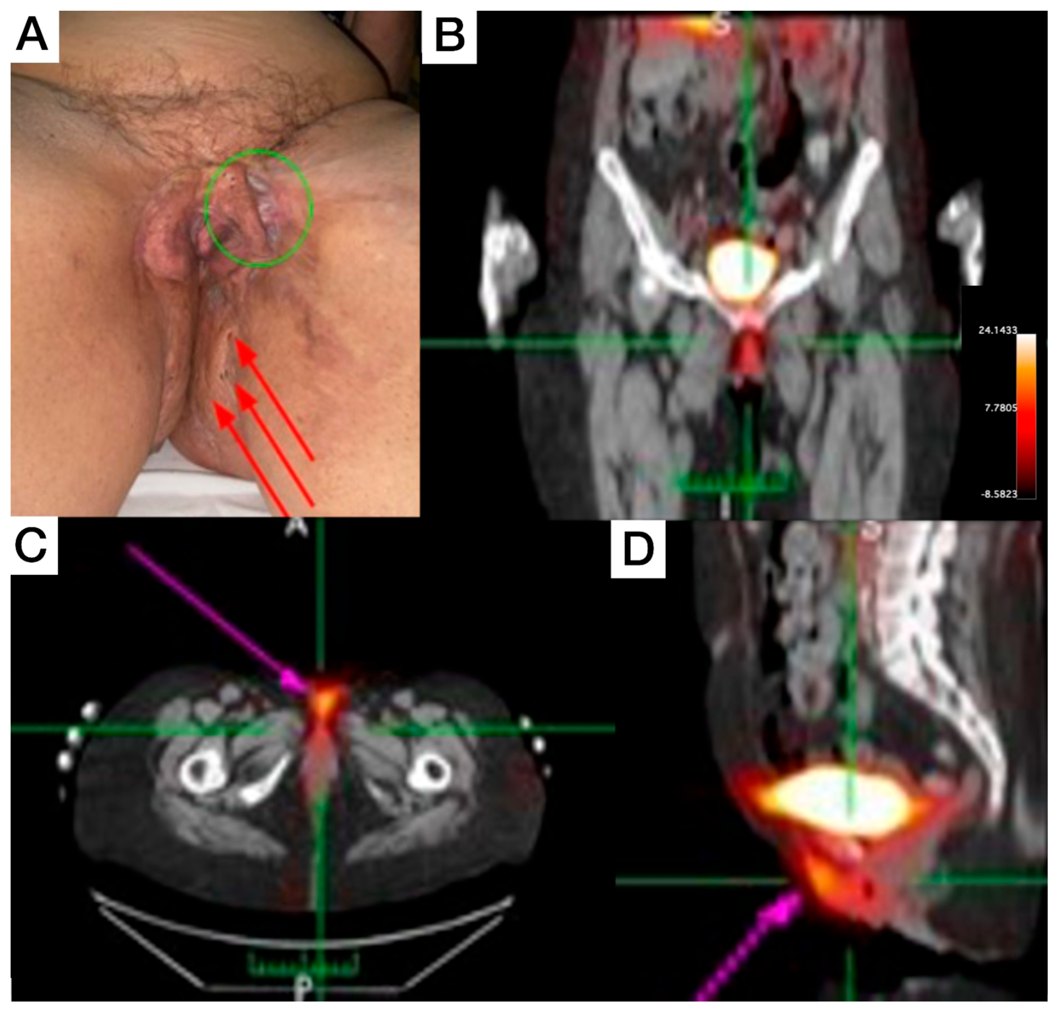 Pharmaceuticals 18 01190 g002