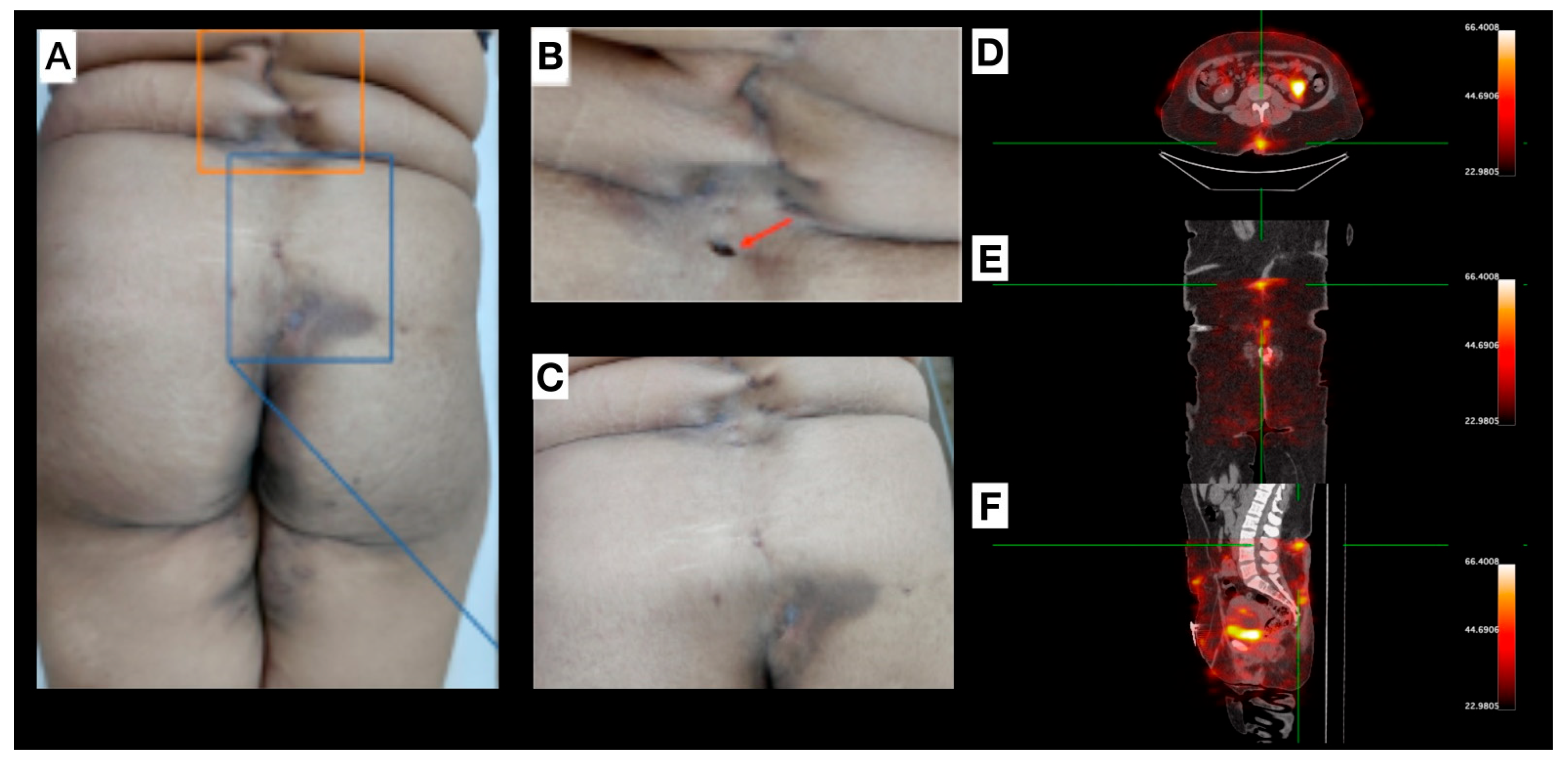 Pharmaceuticals 18 01190 g004