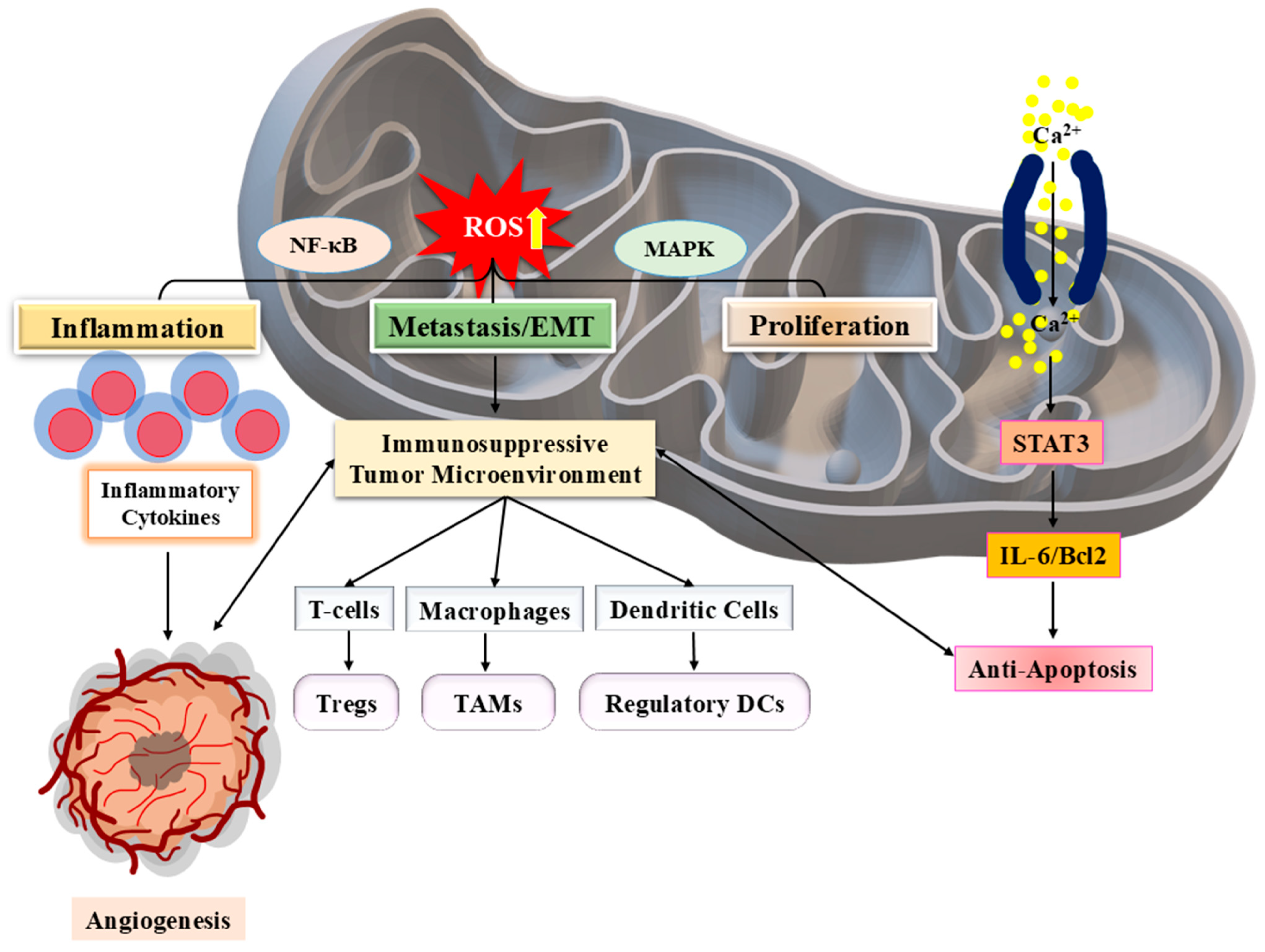 Pharmaceuticals 18 01194 g002
