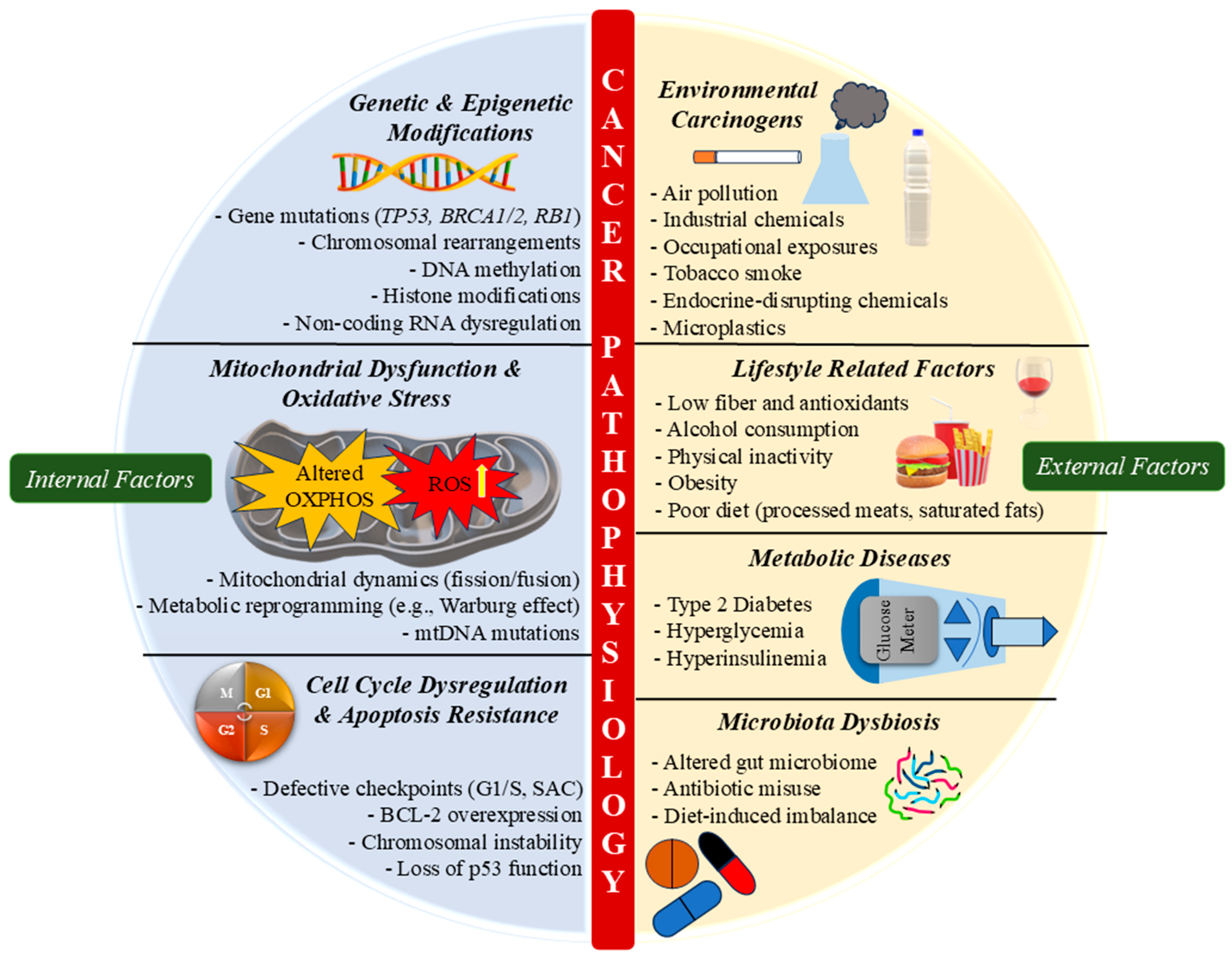 Pharmaceuticals 18 01194 g004