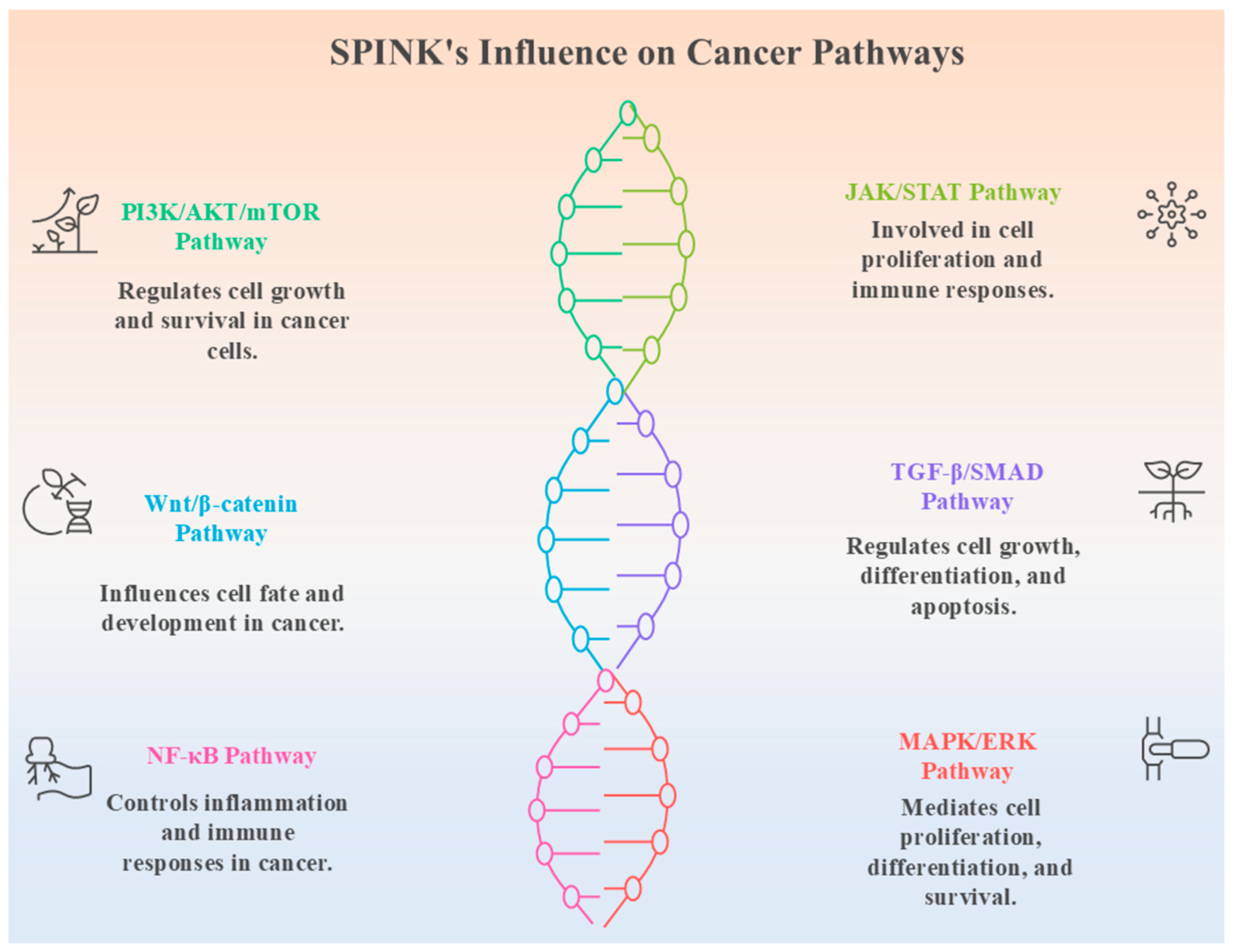 Pharmaceuticals 18 01194 g006