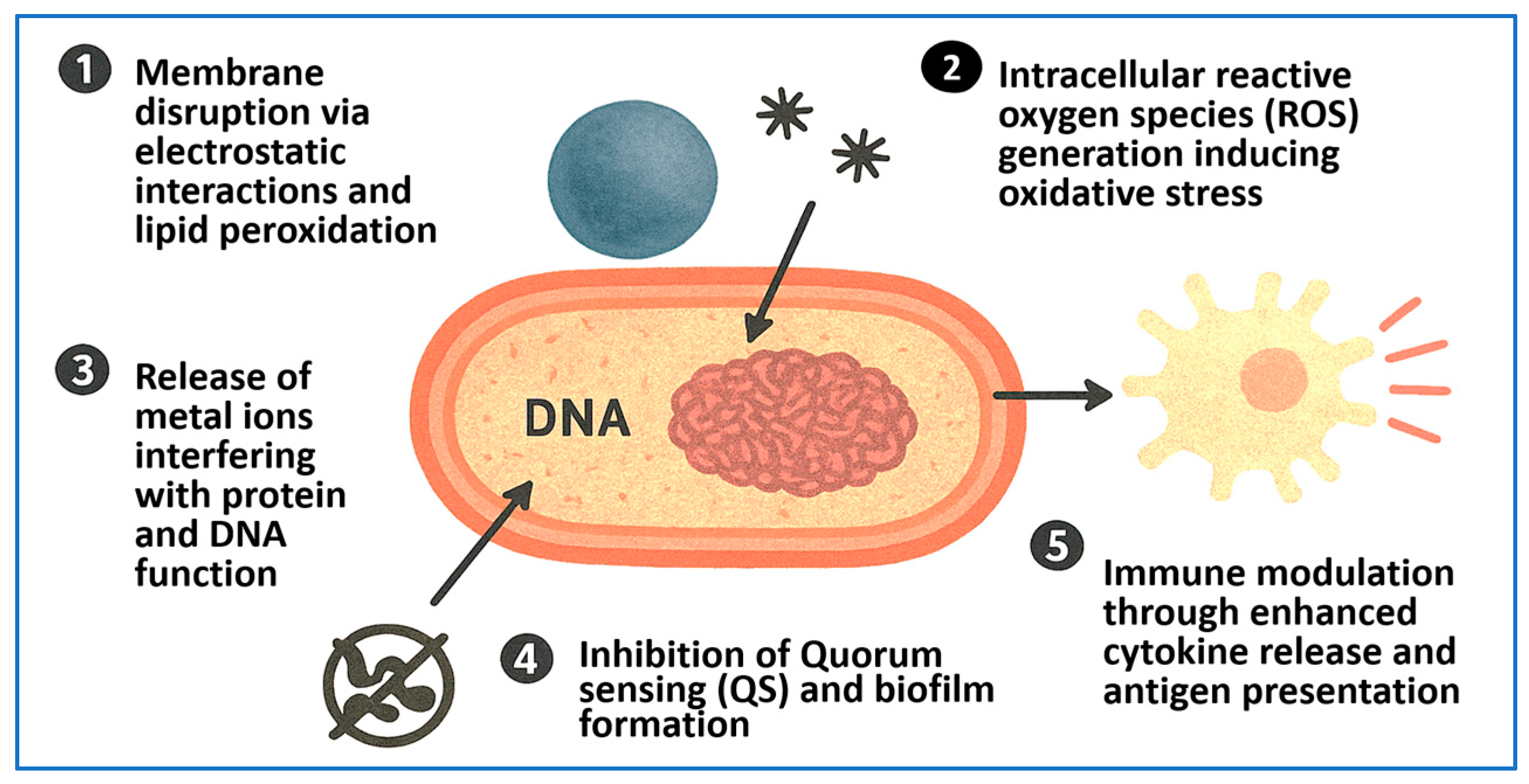 Pharmaceuticals 18 01195 g003