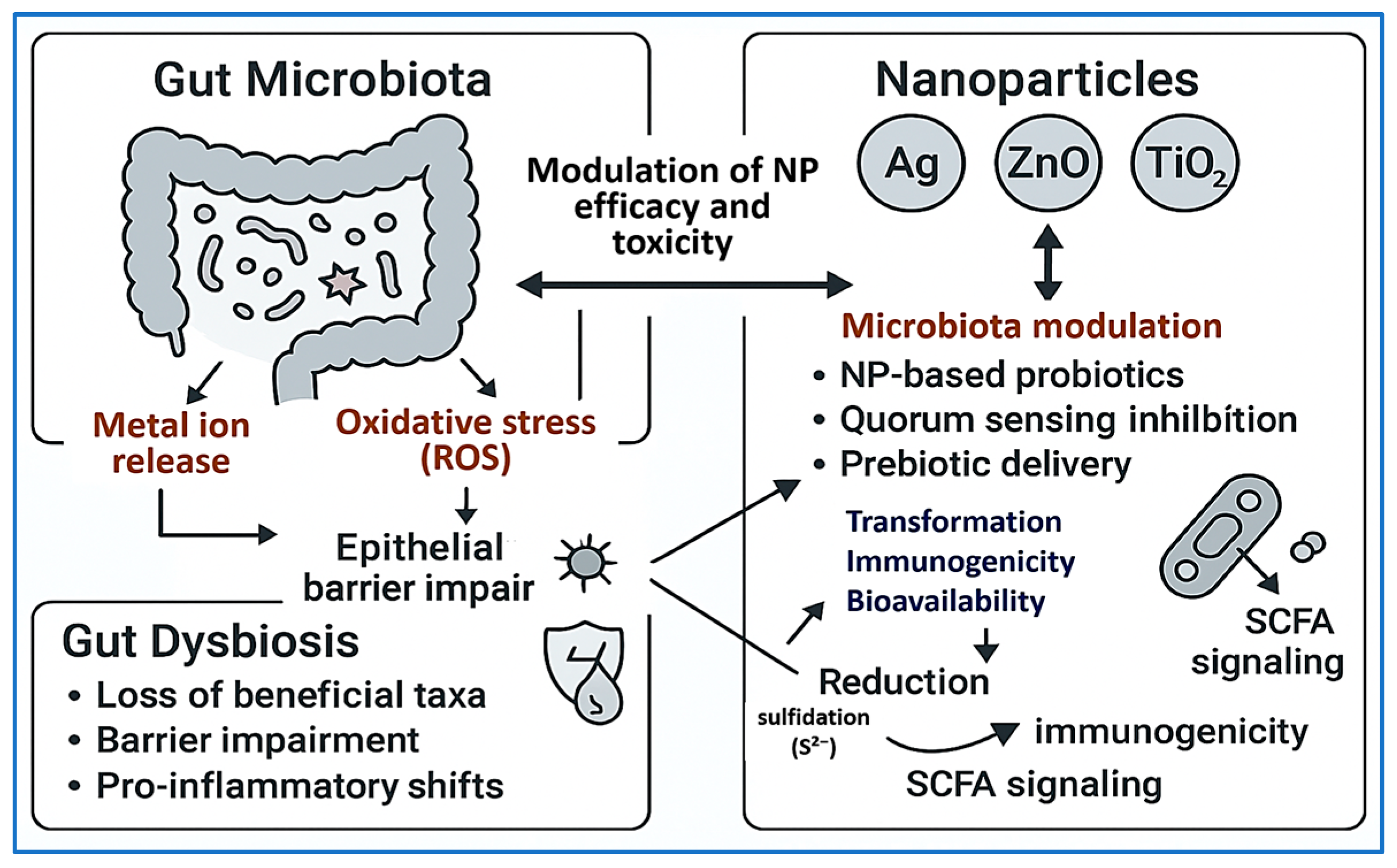 Pharmaceuticals 18 01195 g005