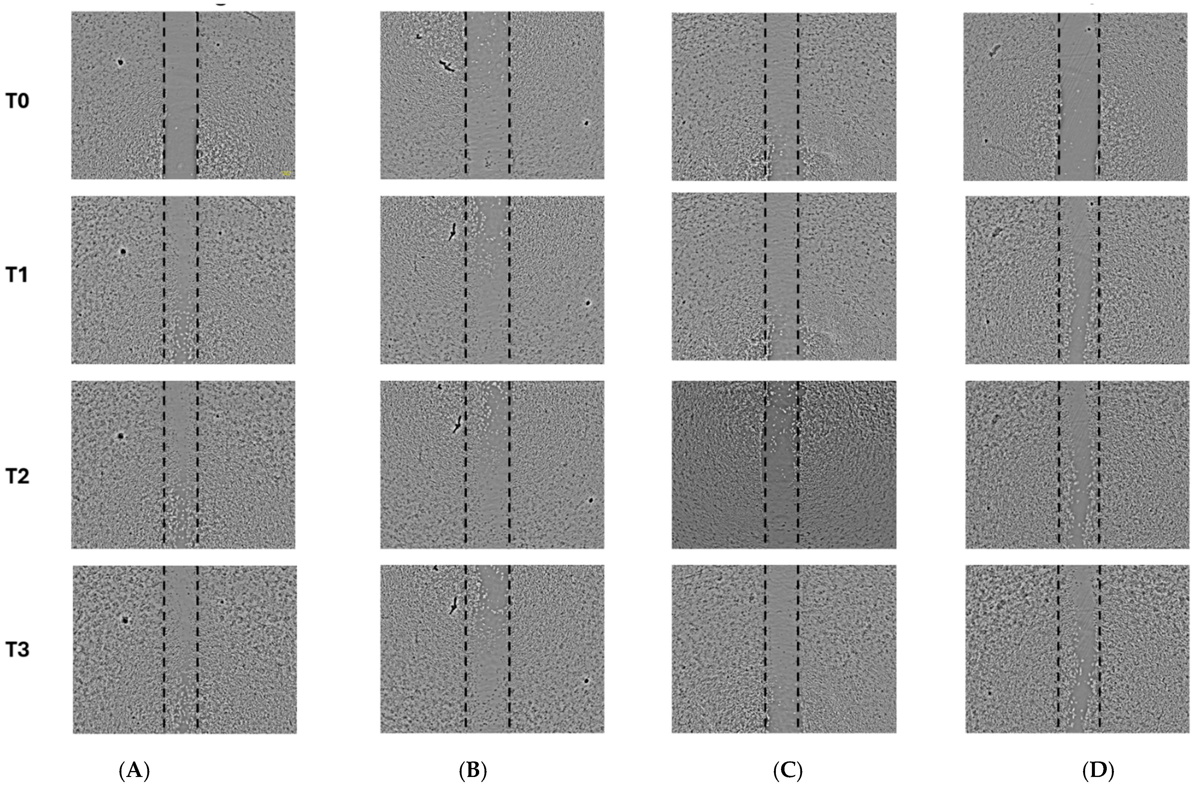 Pharmaceuticals 18 01199 g004