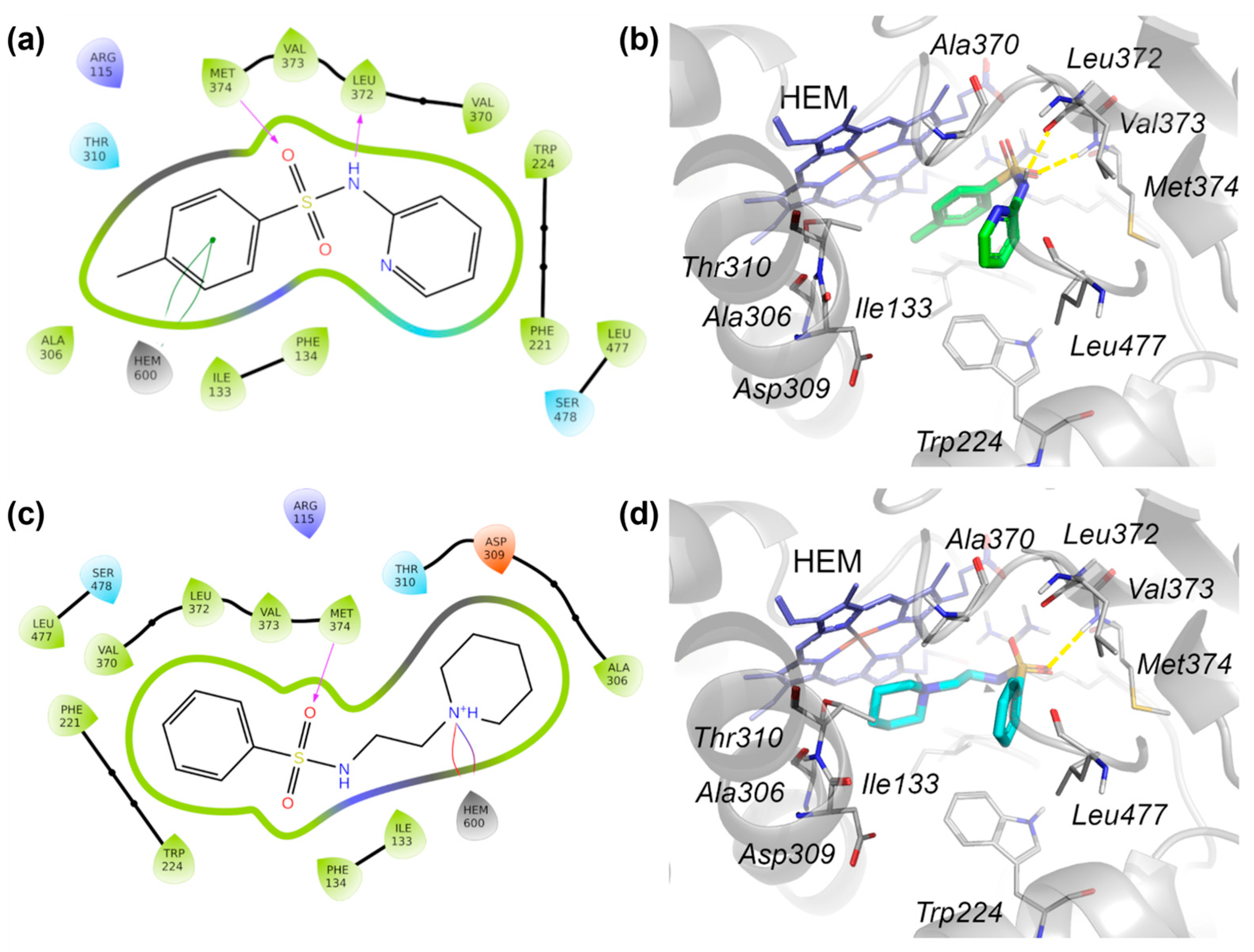 Pharmaceuticals 18 01206 g006
