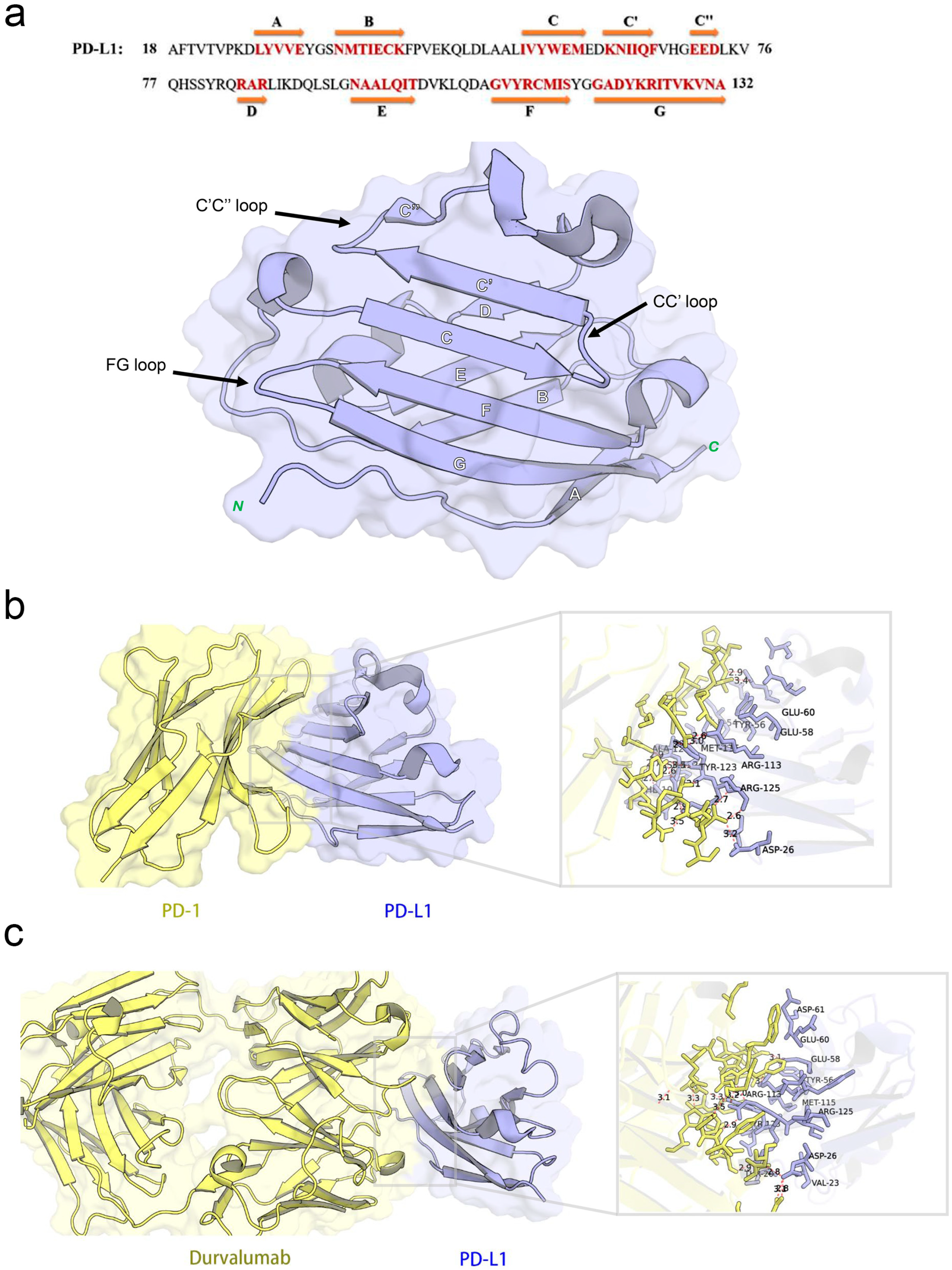Pharmaceuticals 18 01209 g003