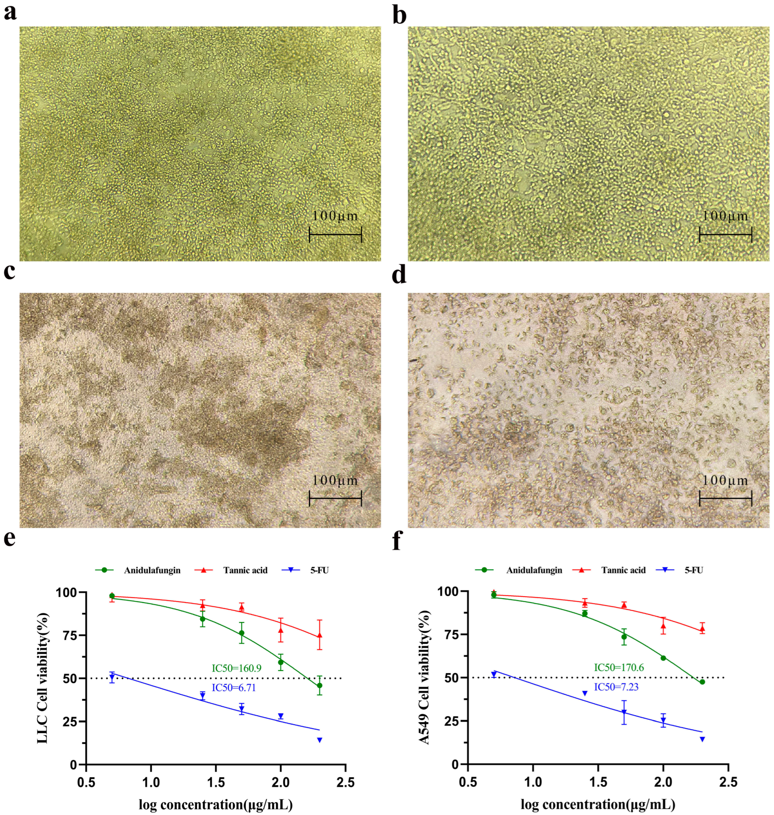 Pharmaceuticals 18 01209 g006