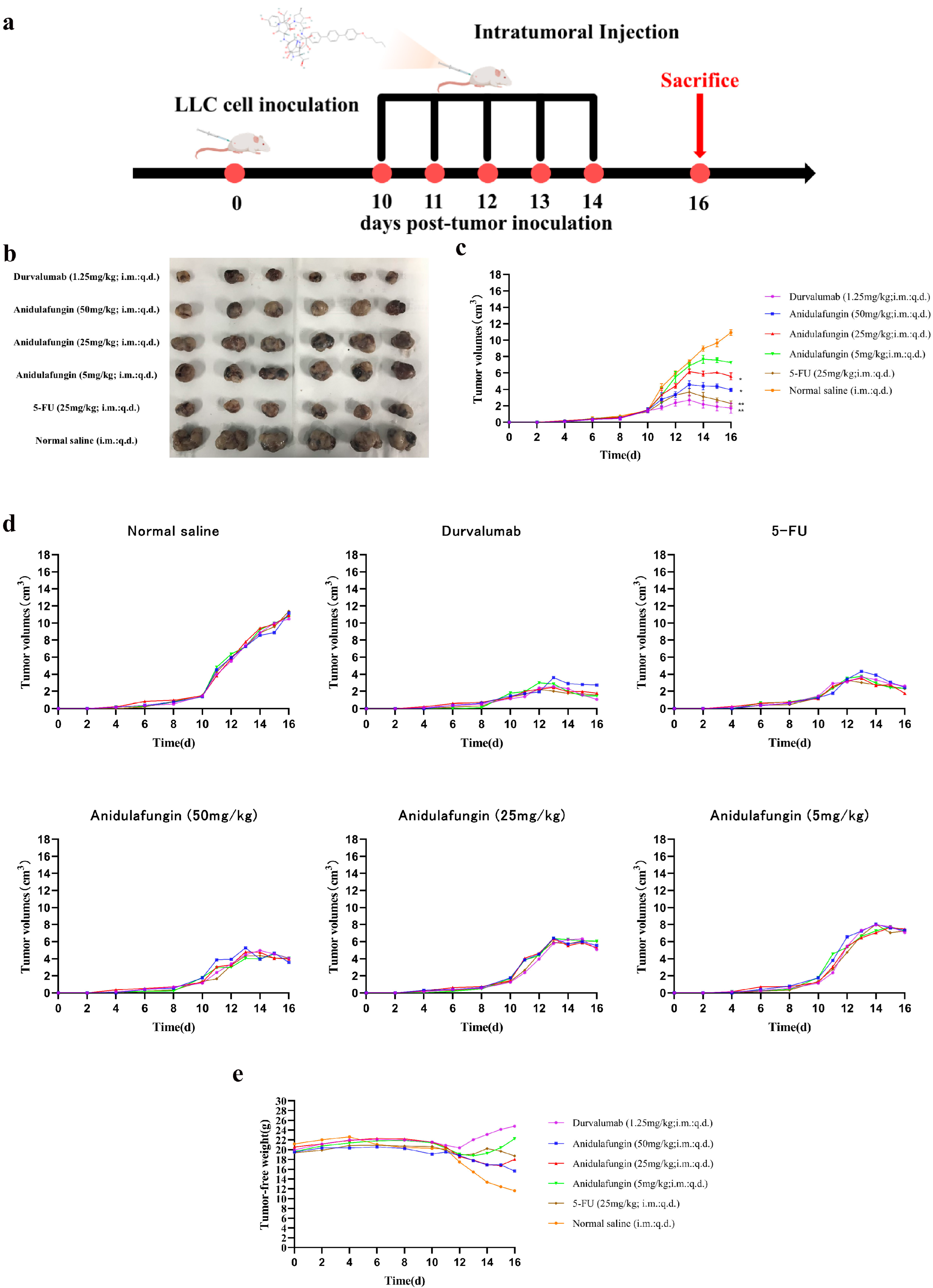 Pharmaceuticals 18 01209 g008