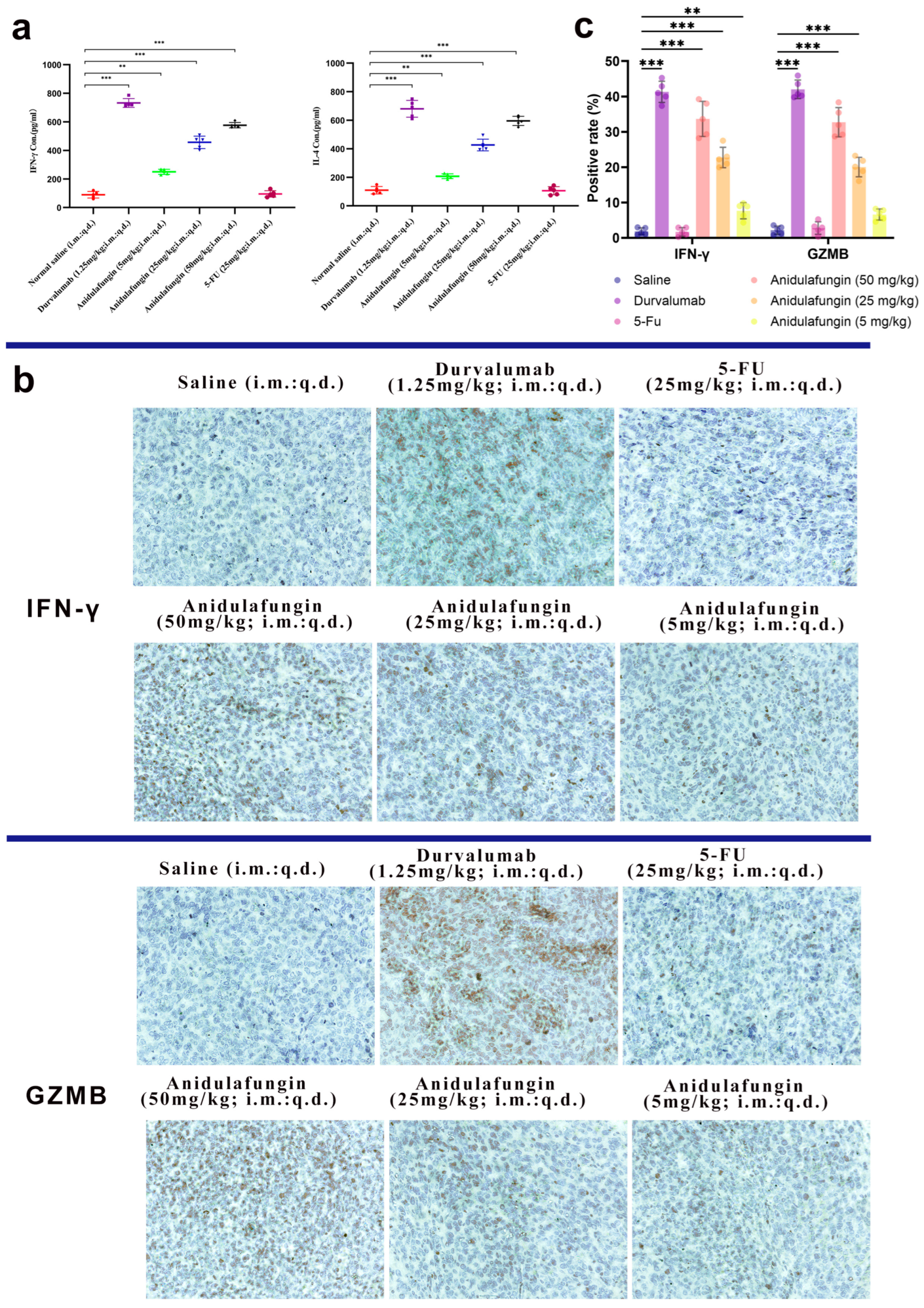 Pharmaceuticals 18 01209 g009