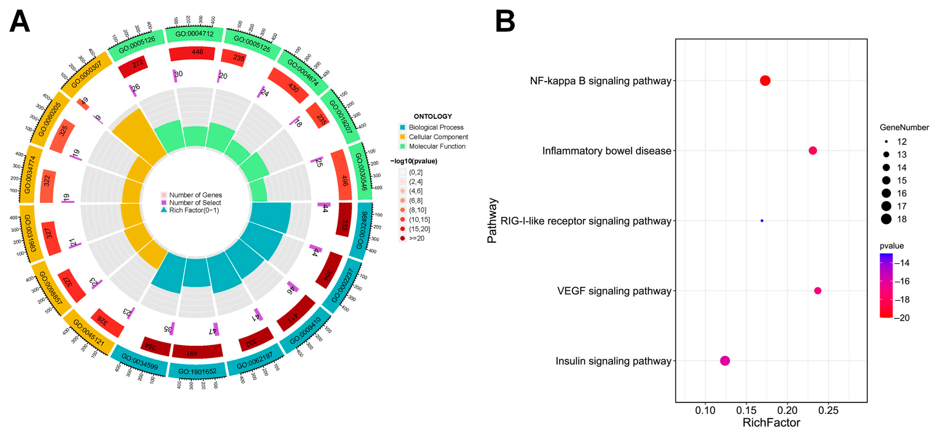Pharmaceuticals 18 01216 g003