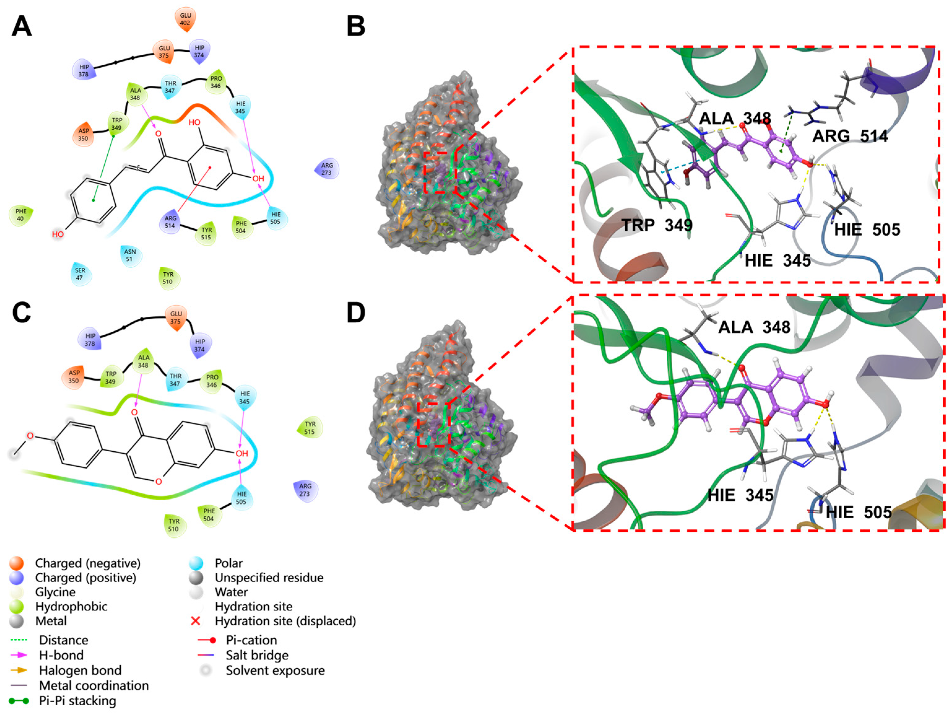 Pharmaceuticals 18 01216 g004