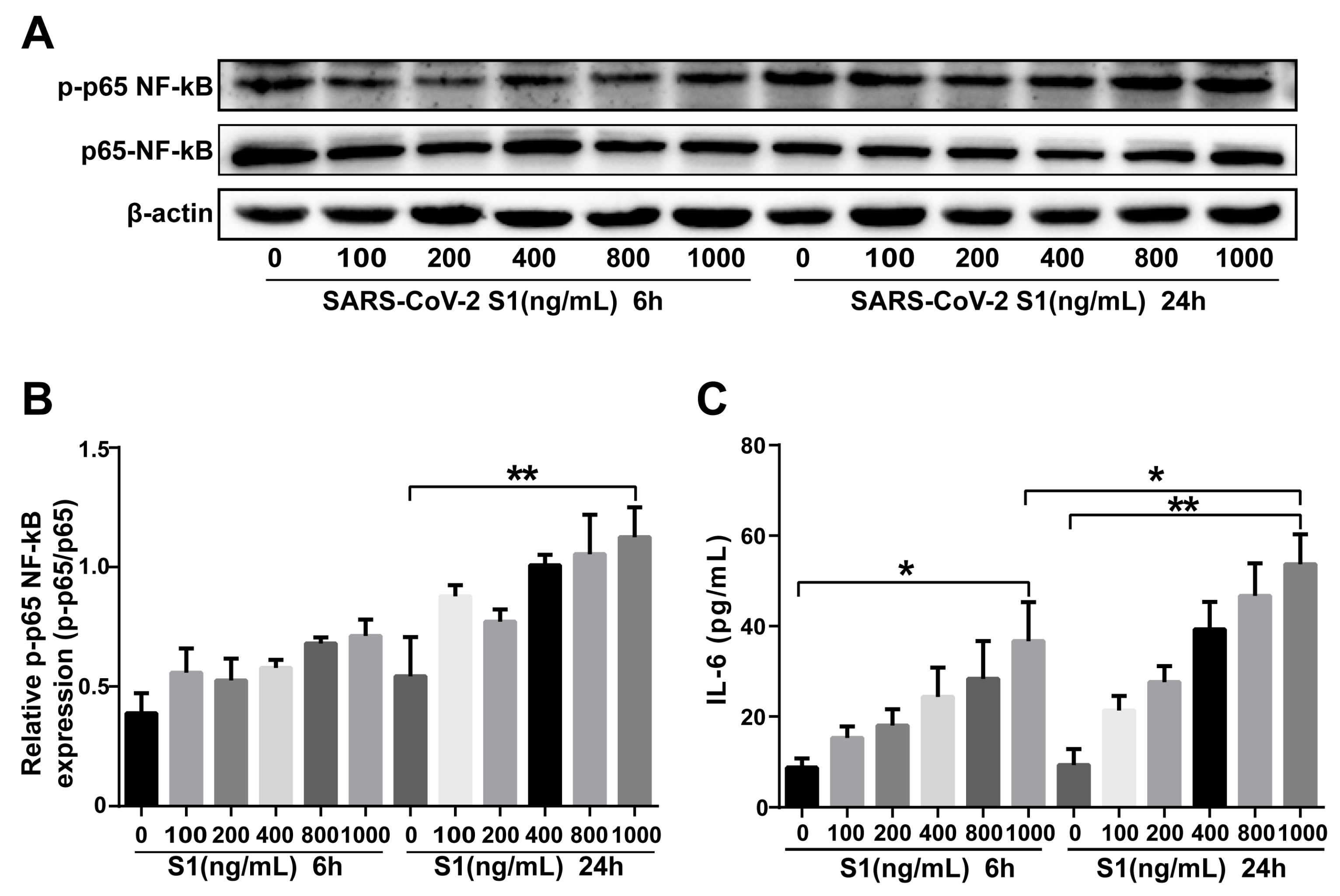 Pharmaceuticals 18 01216 g006