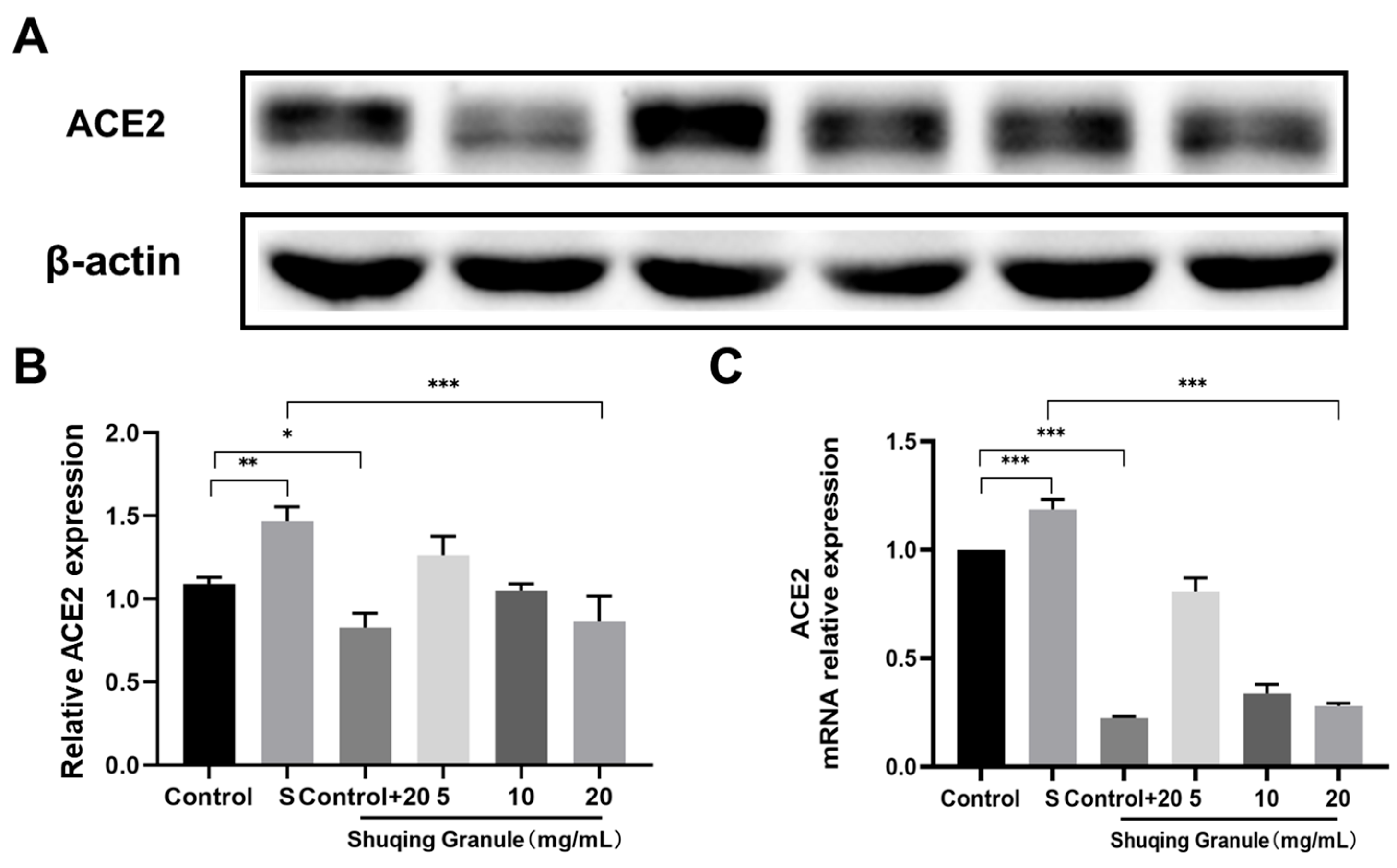 Pharmaceuticals 18 01216 g007