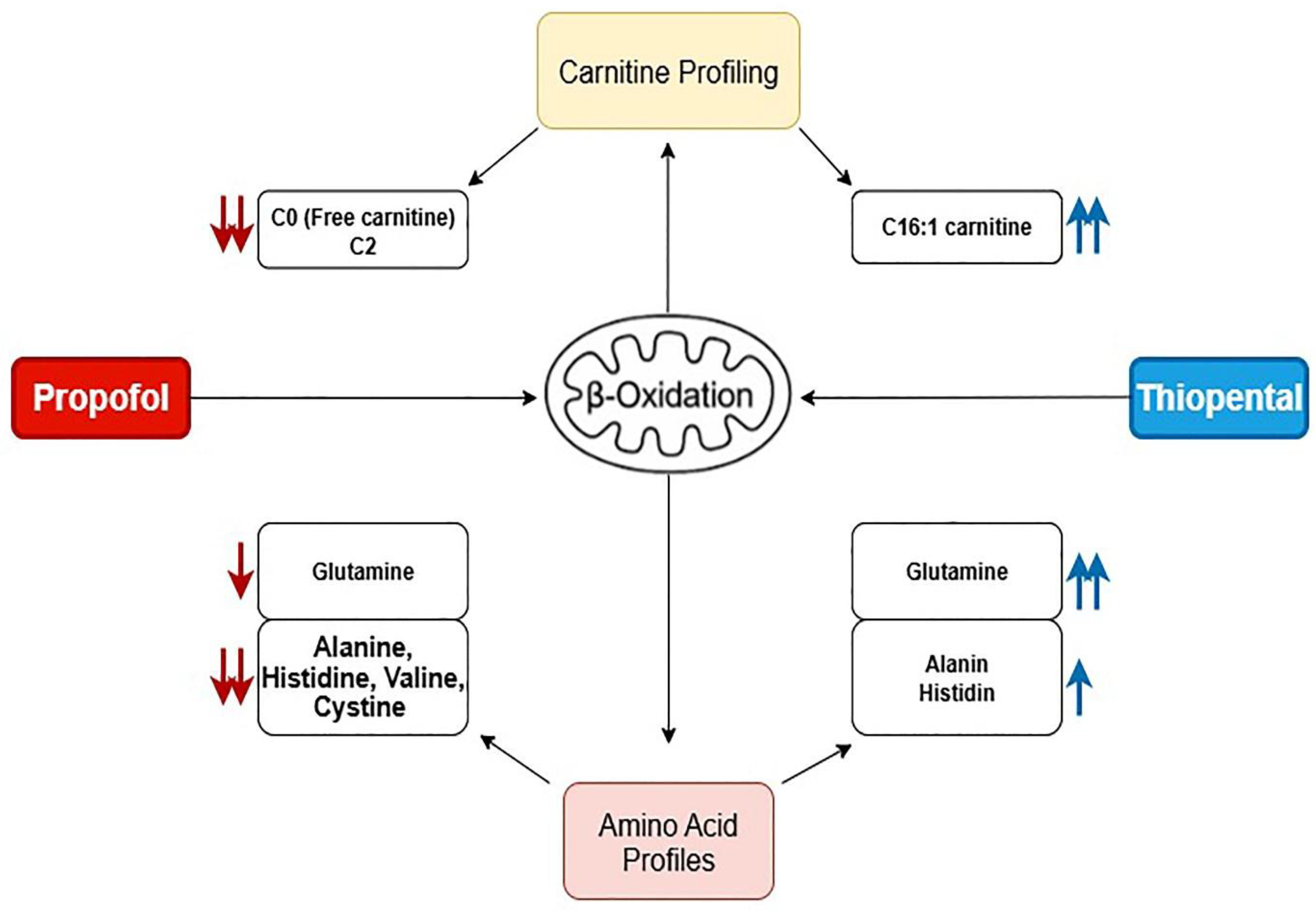 Pharmaceuticals 18 01221 g004