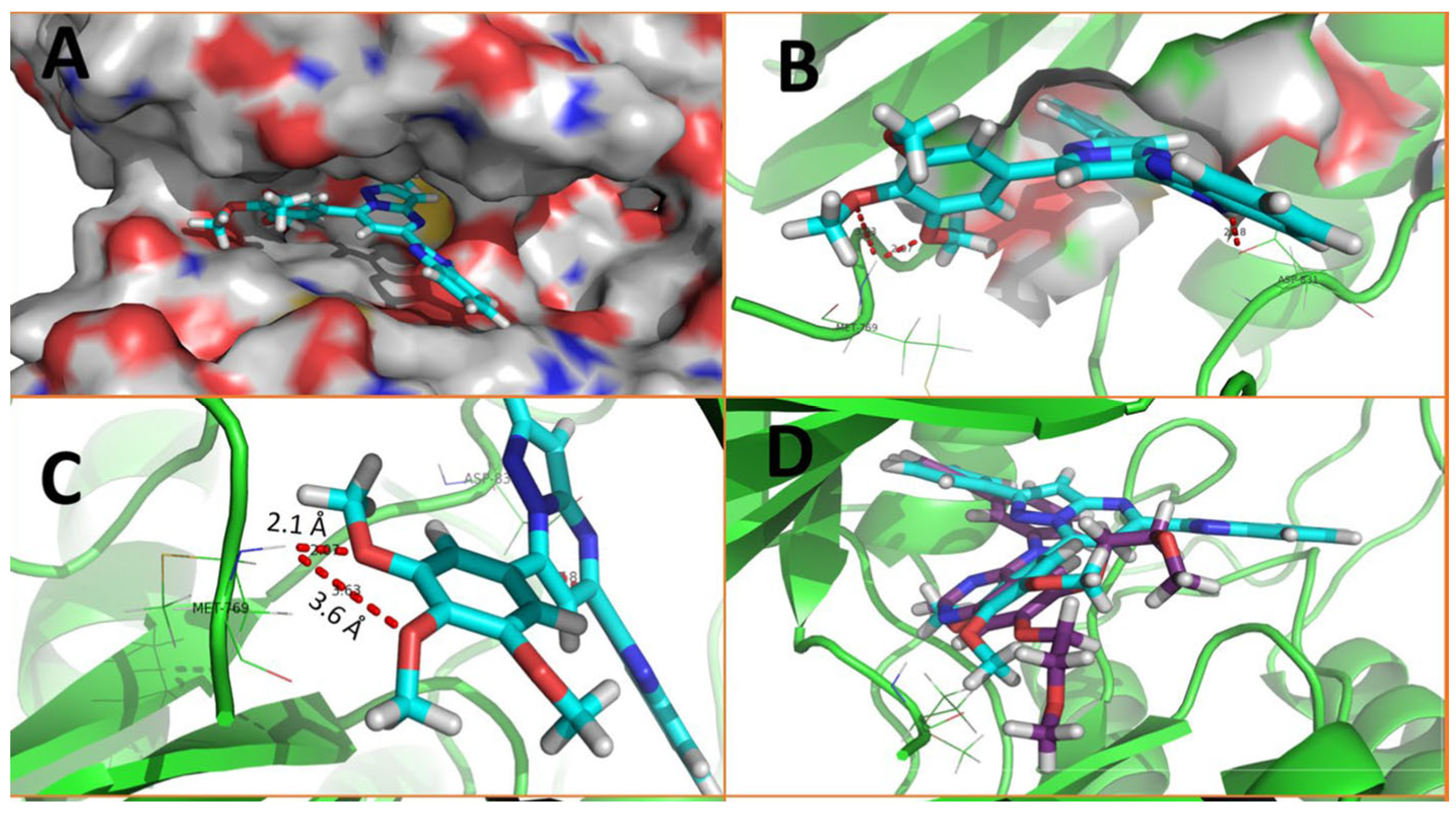 Pharmaceuticals 18 01225 g006 Pharmaceuticals 18 01225 g006