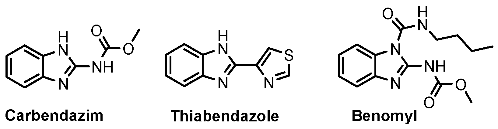 Pharmaceuticals 18 01225 g015 Pharmaceuticals 18 01225 g015