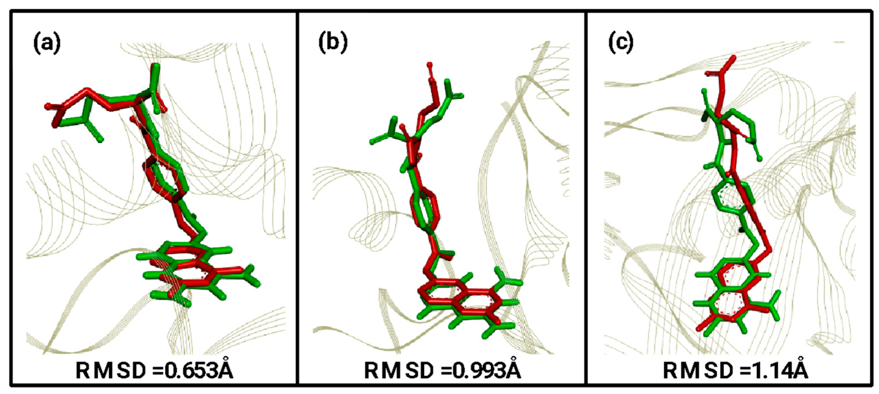 Pharmaceuticals 18 01237 g003 Pharmaceuticals 18 01237 g003