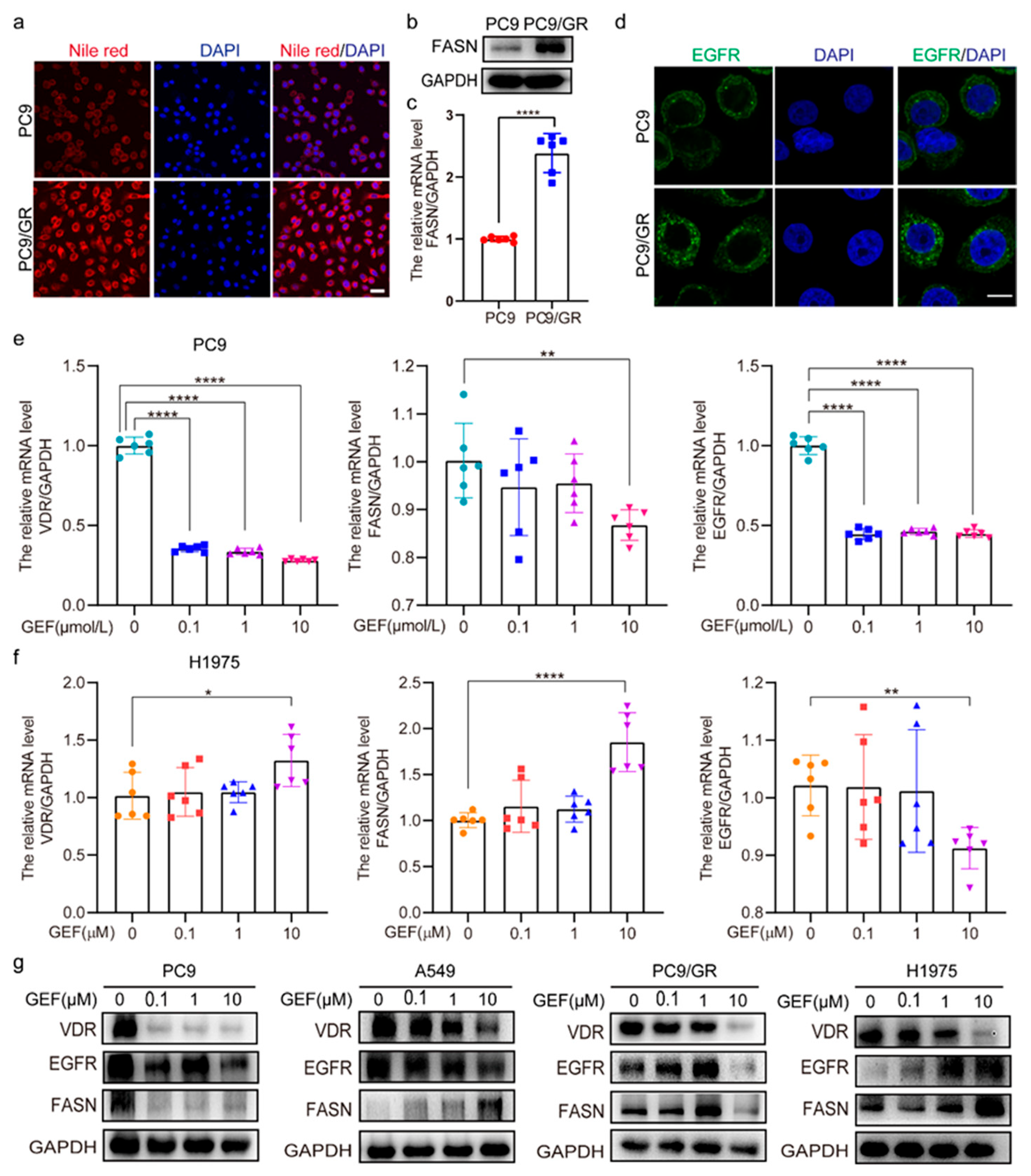 Pharmaceuticals 18 01238 g002