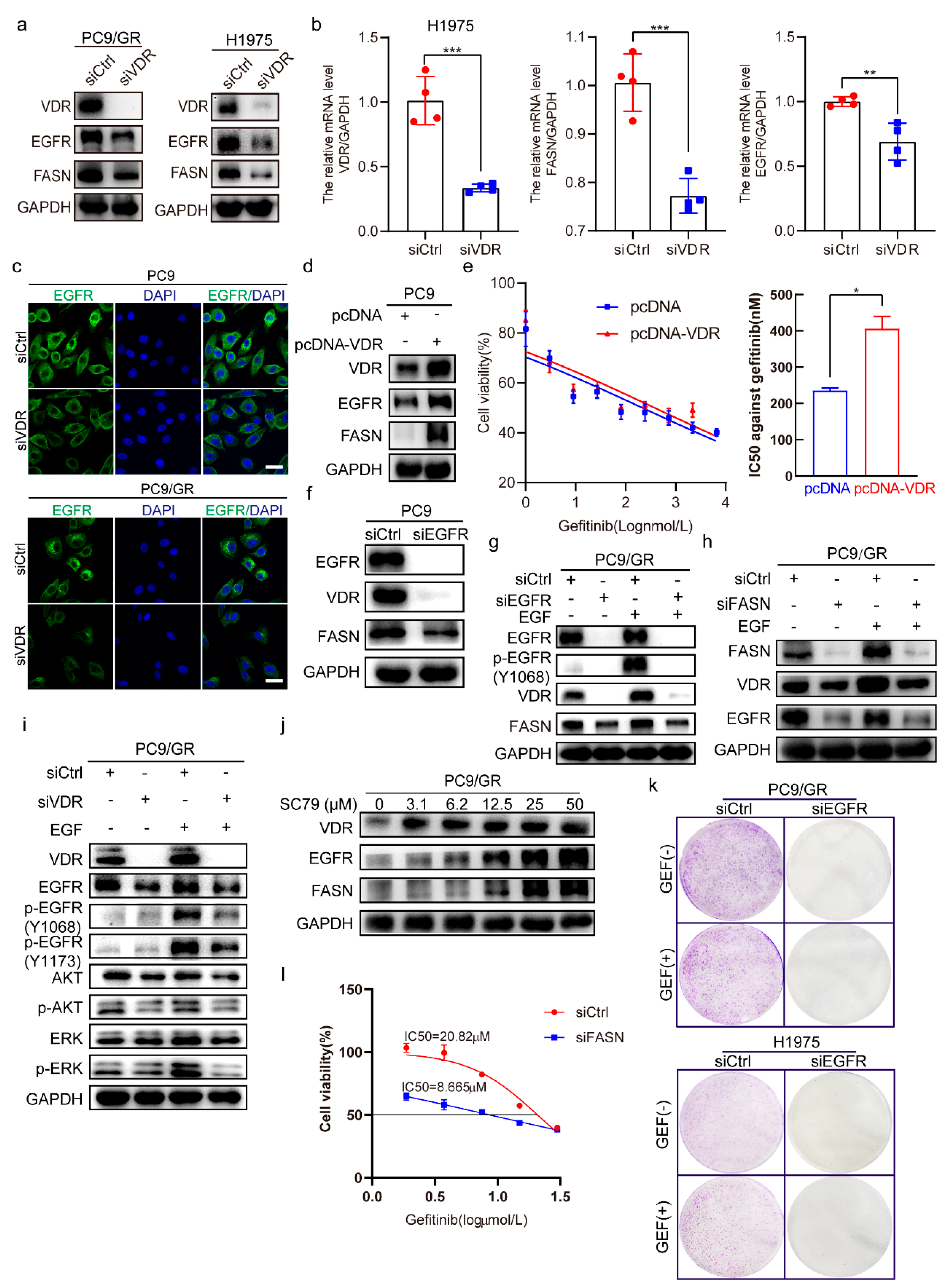 Pharmaceuticals 18 01238 g003