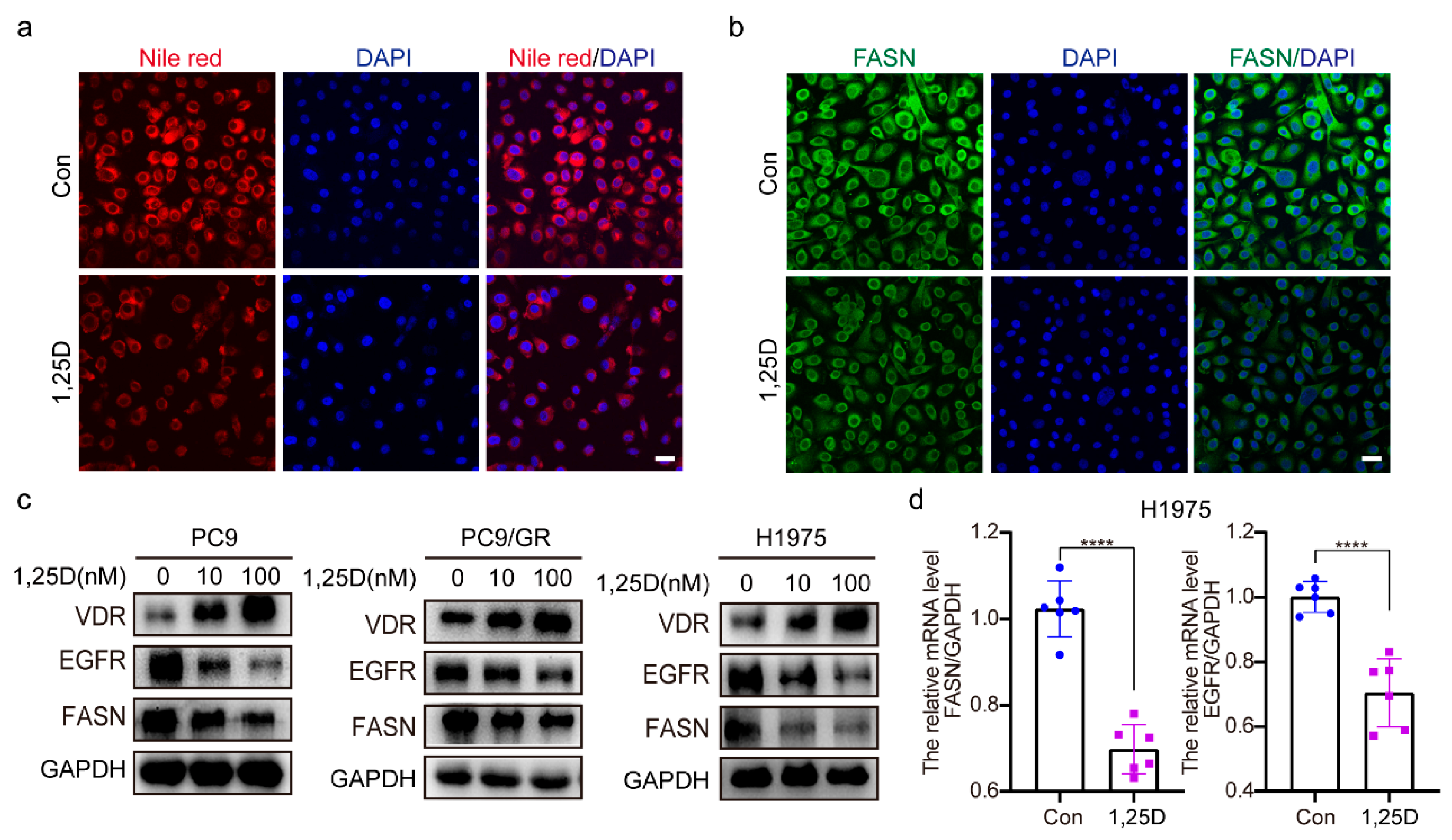 Pharmaceuticals 18 01238 g004