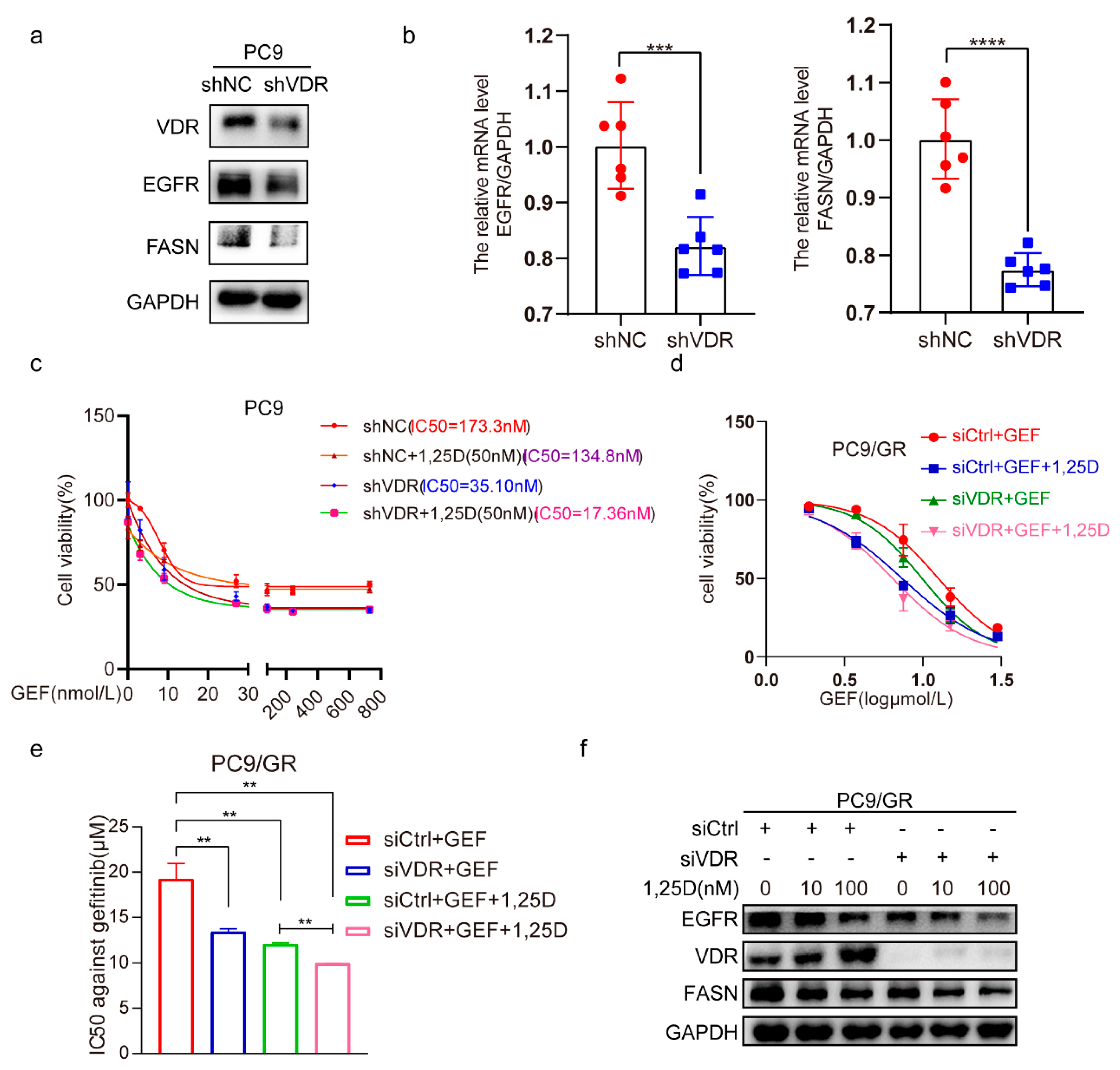 Pharmaceuticals 18 01238 g005