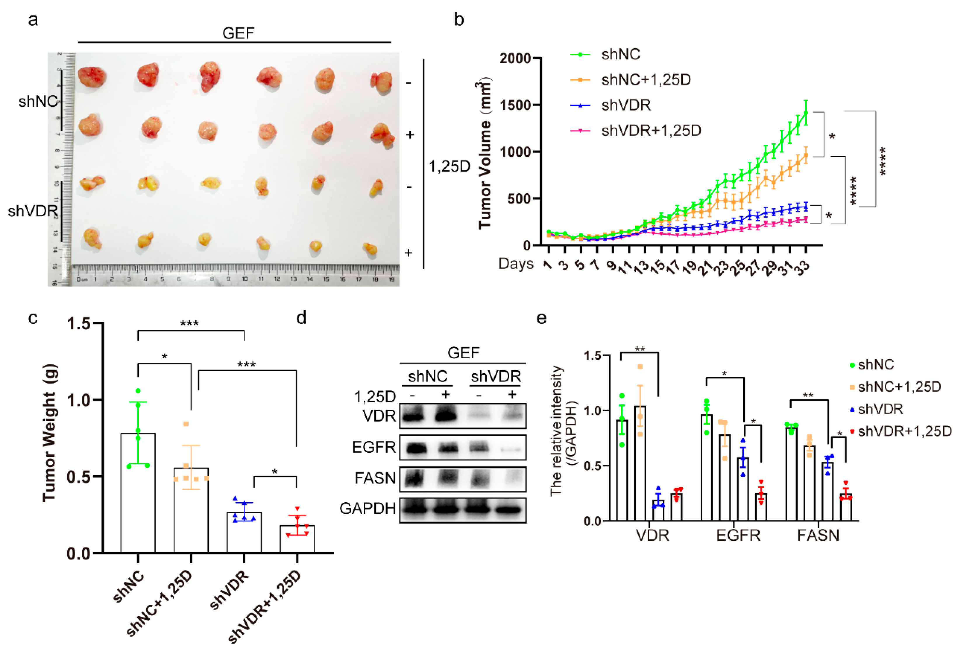Pharmaceuticals 18 01238 g006