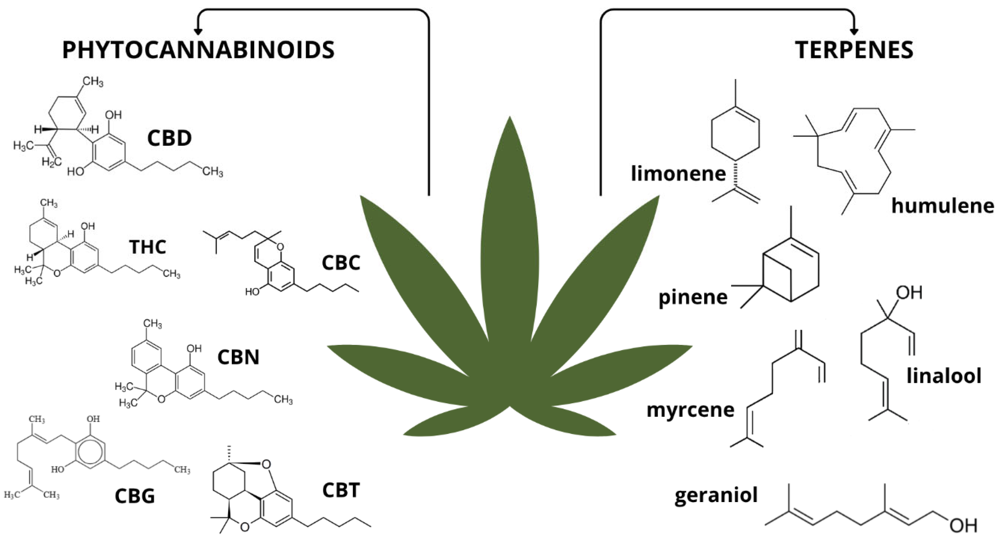 Pharmaceuticals 18 01244 g002 Pharmaceuticals 18 01244 g002