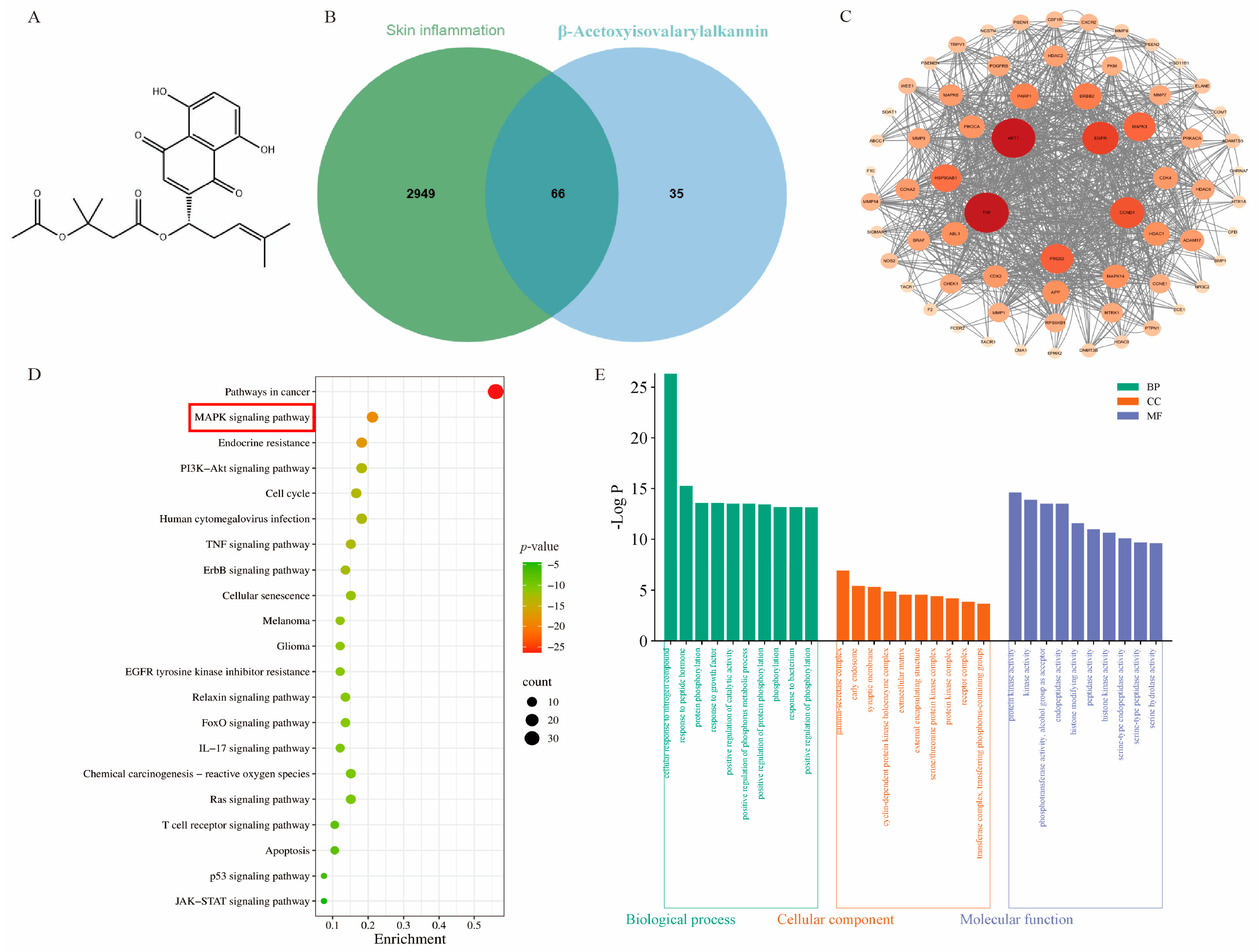 Pharmaceuticals 18 01249 g001a