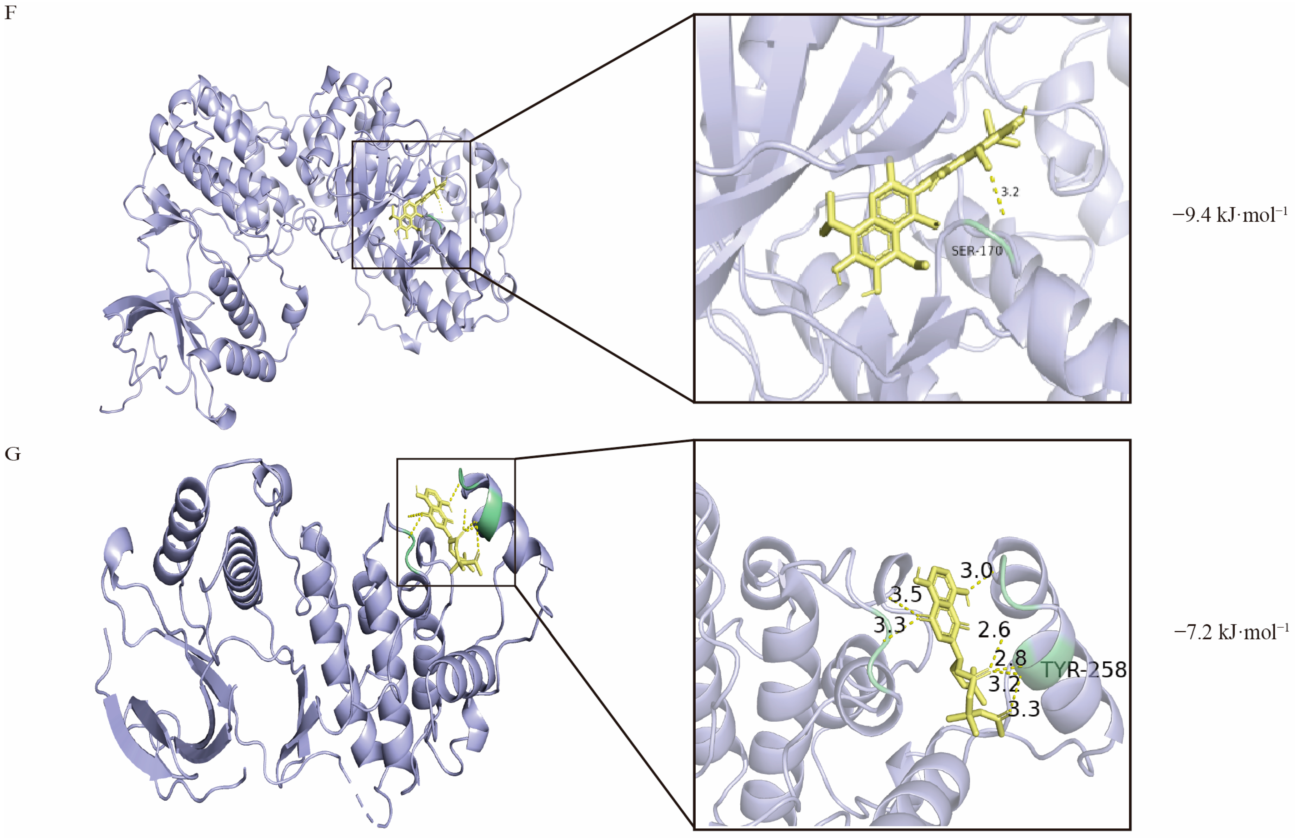Pharmaceuticals 18 01249 g001b