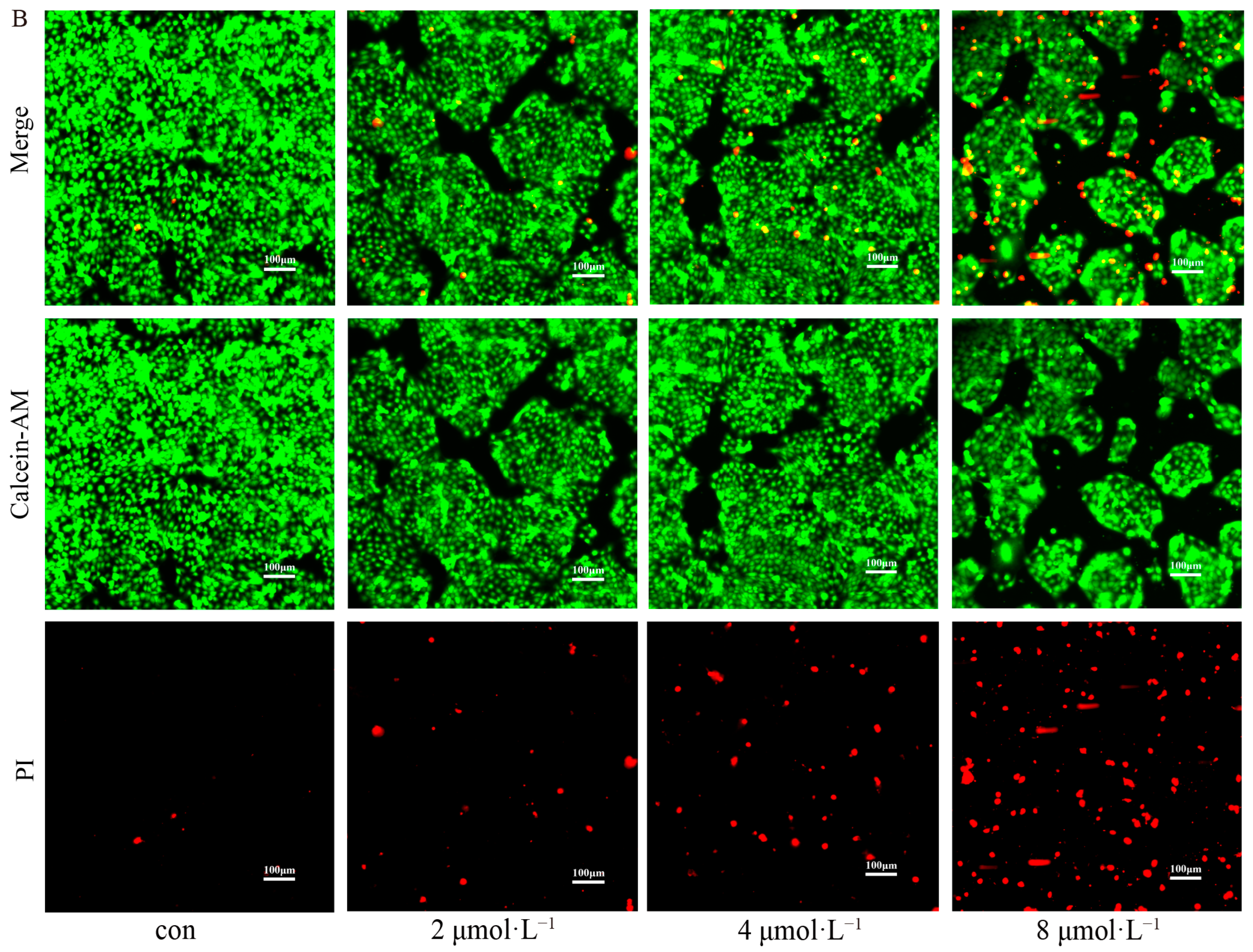Pharmaceuticals 18 01249 g003b