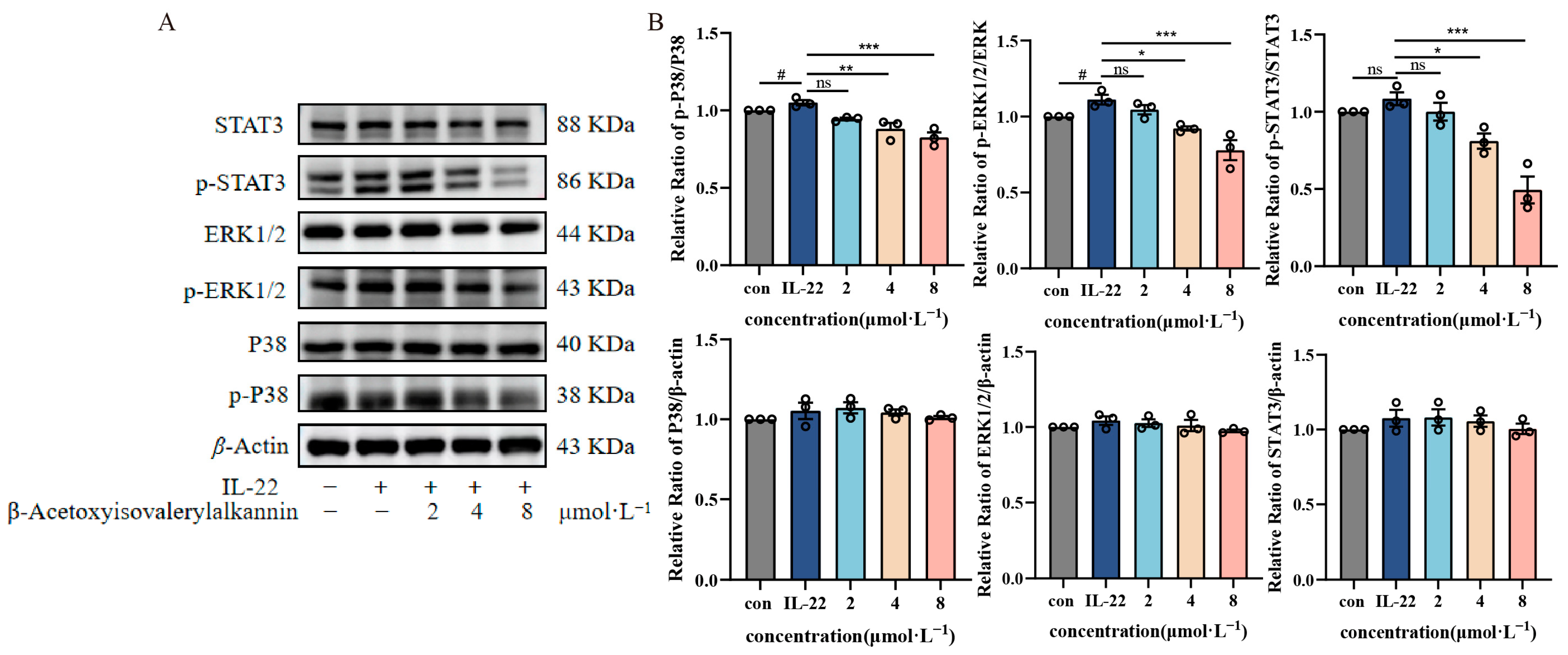 Pharmaceuticals 18 01249 g005