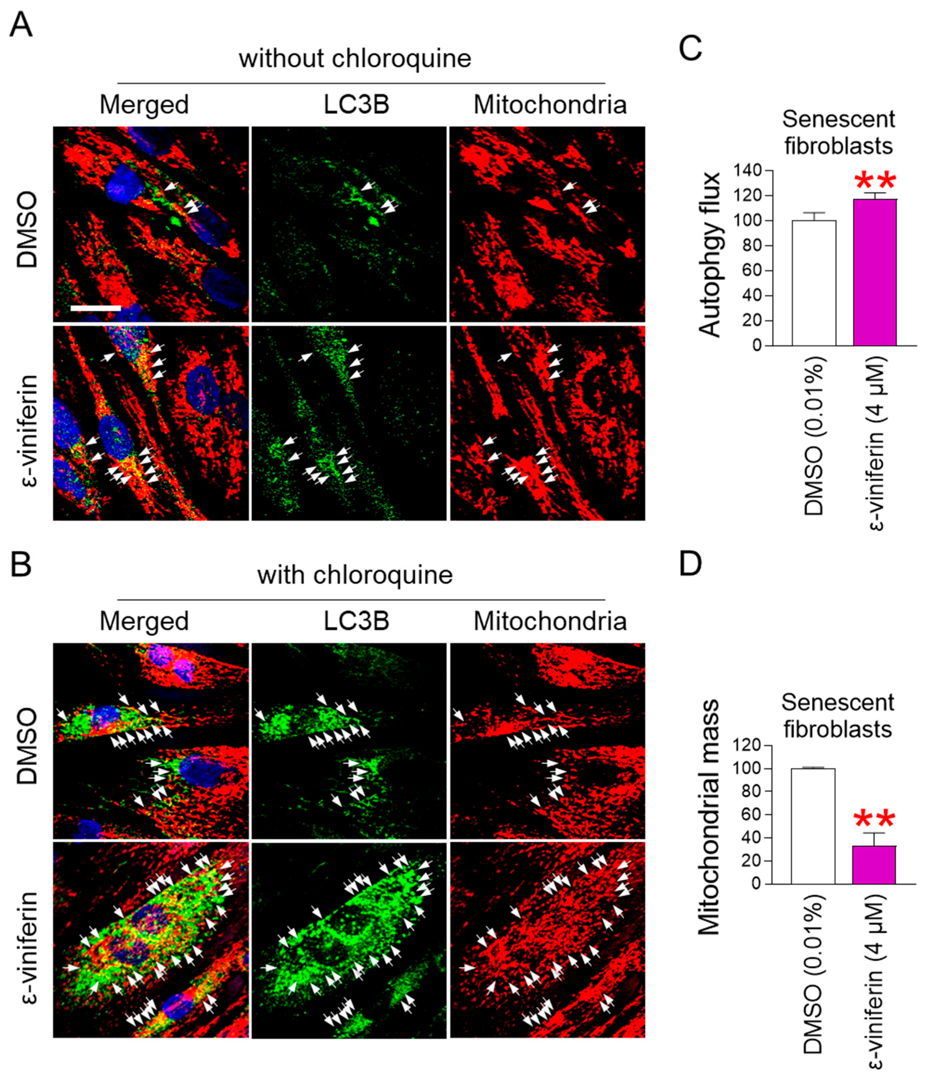 Pharmaceuticals 18 01254 g003