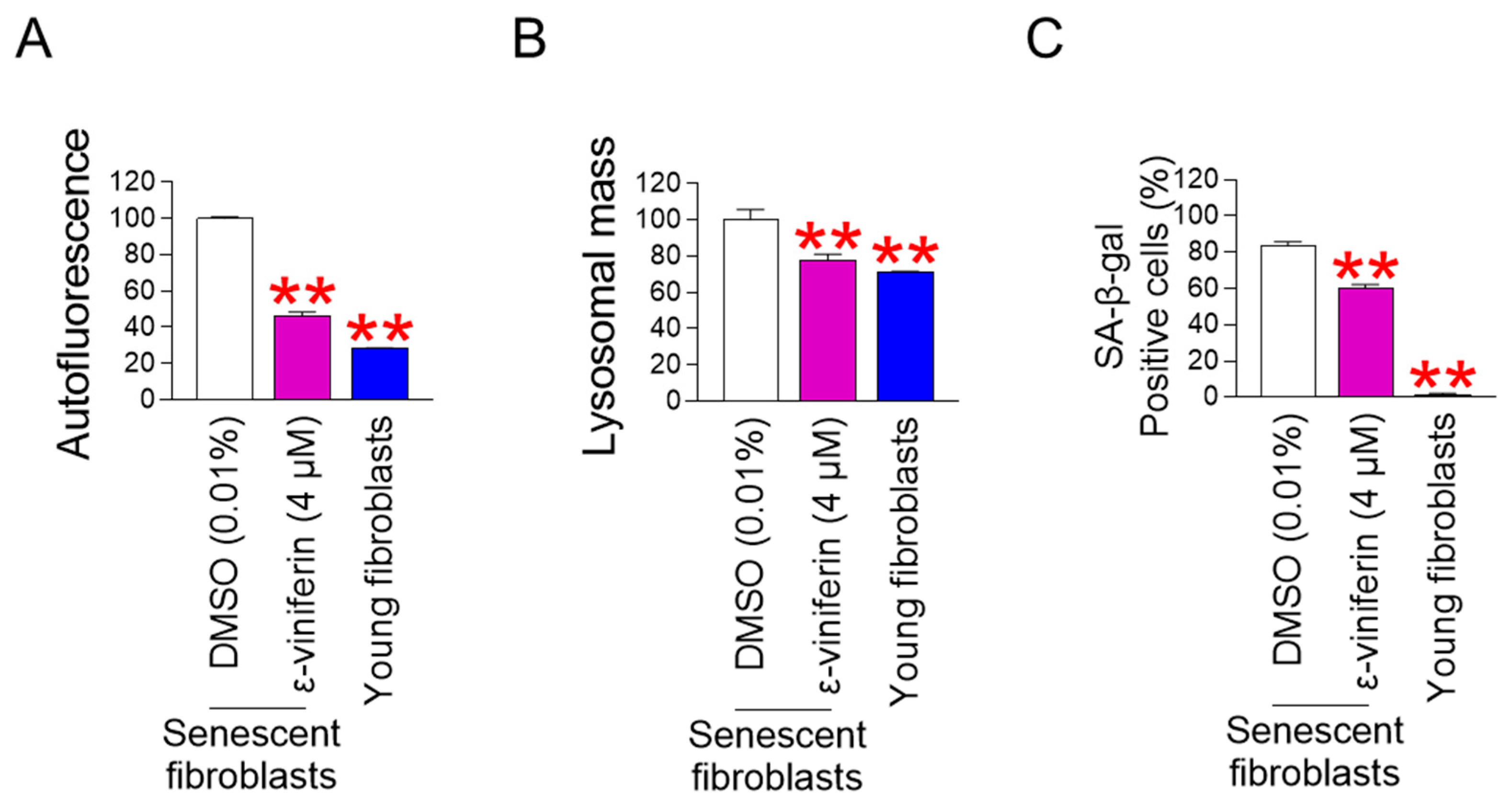 Pharmaceuticals 18 01254 g004