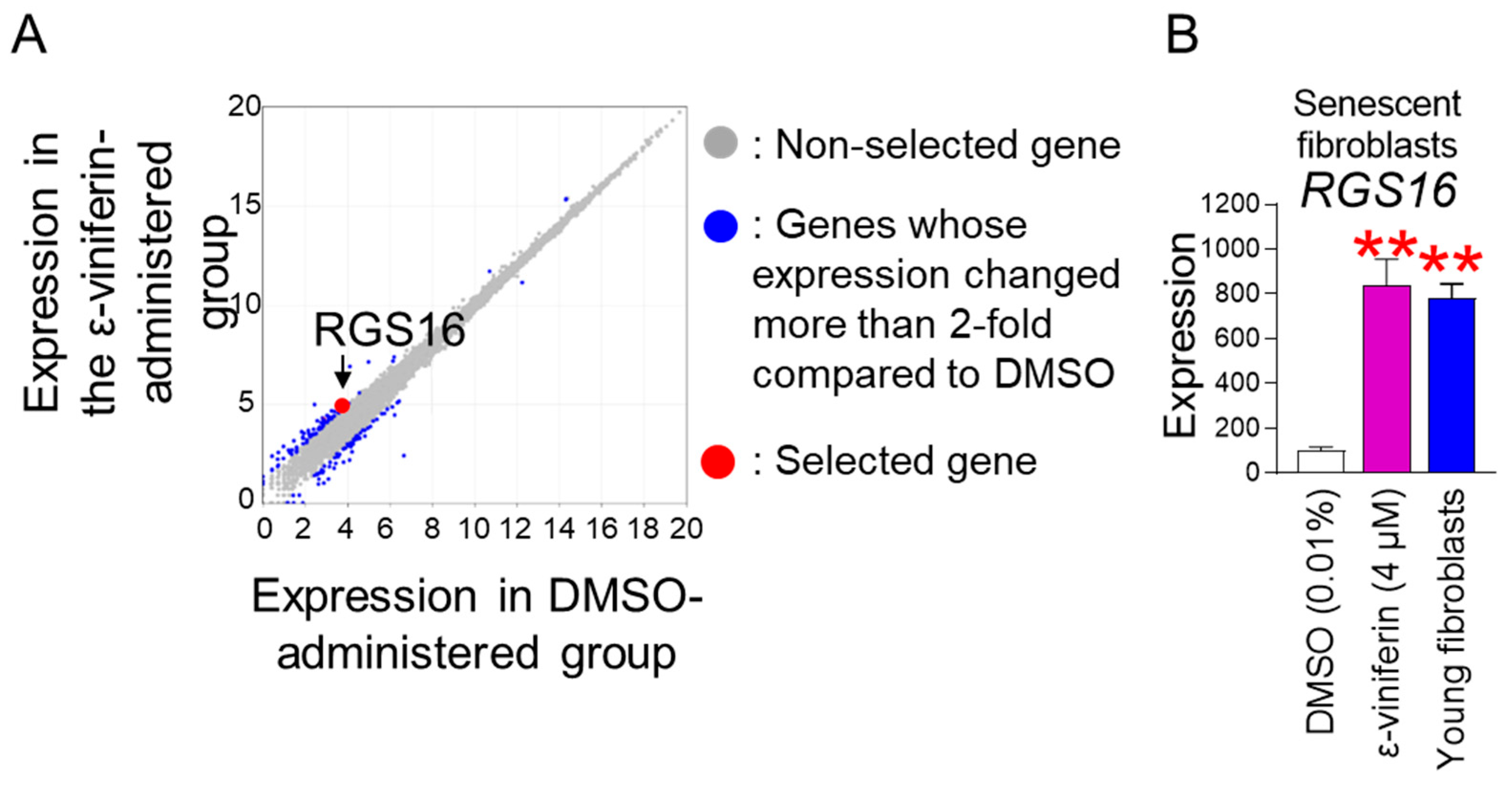 Pharmaceuticals 18 01254 g005