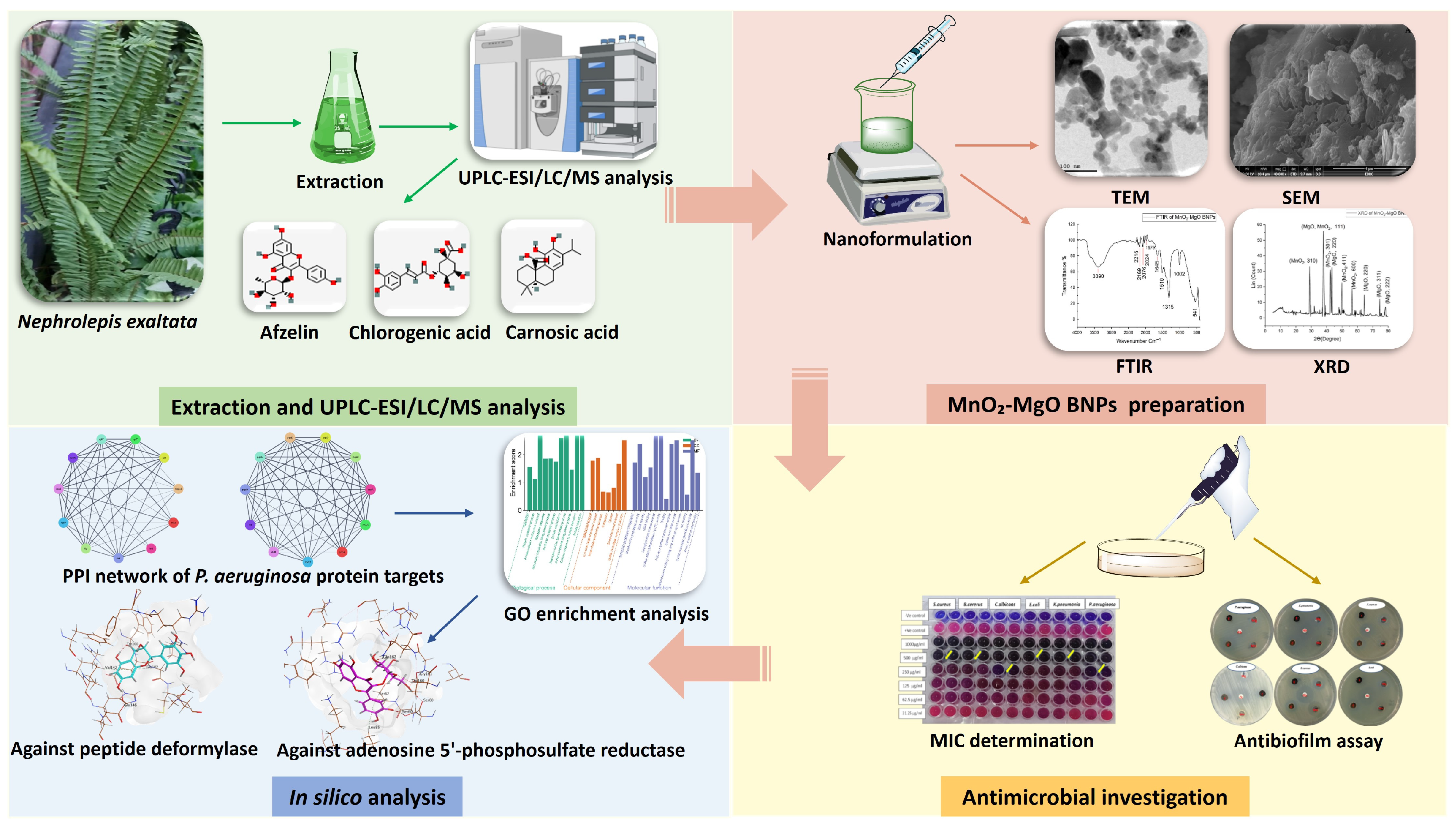 Pharmaceuticals 18 01262 g001