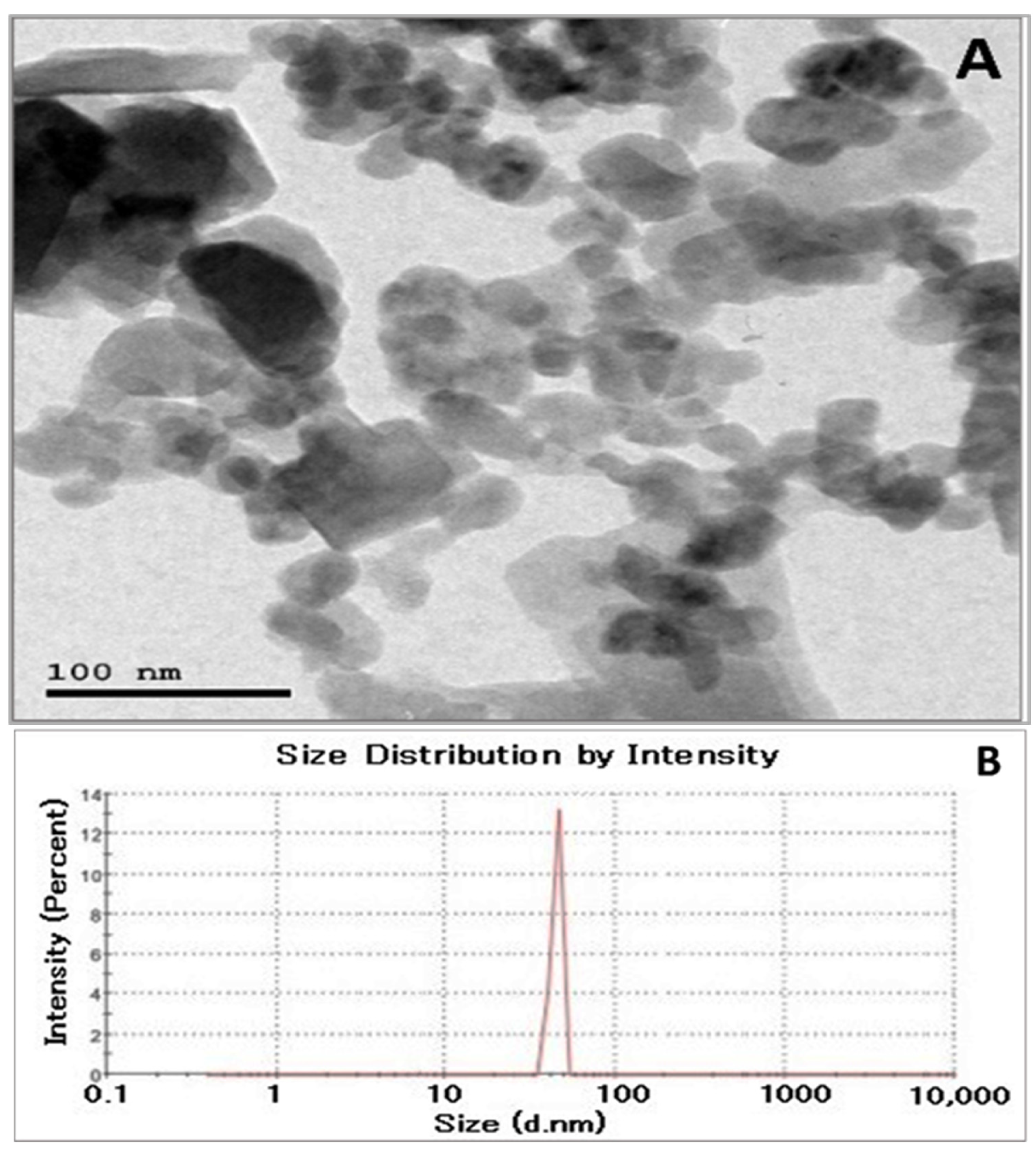 Pharmaceuticals 18 01262 g005