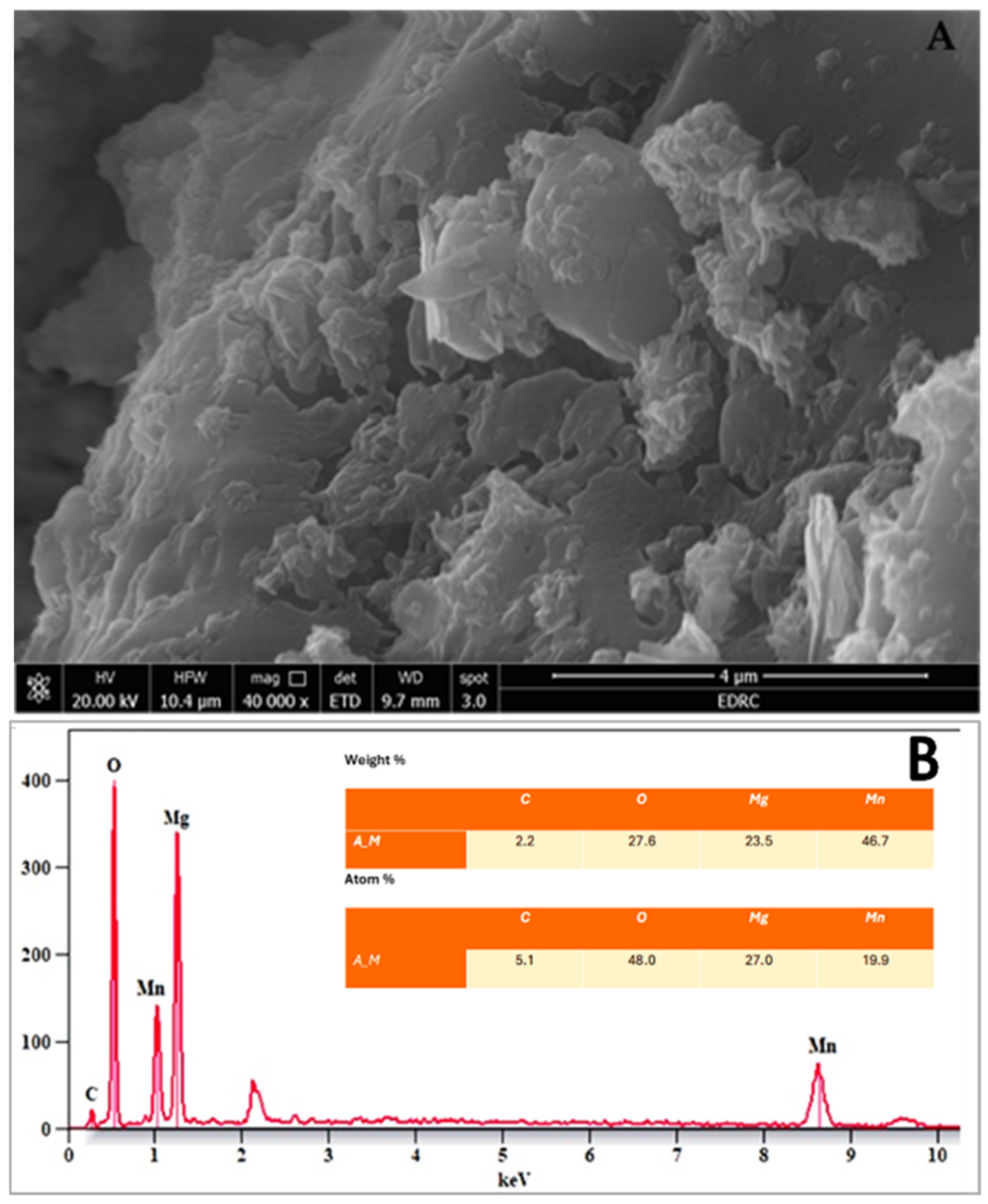 Pharmaceuticals 18 01262 g007