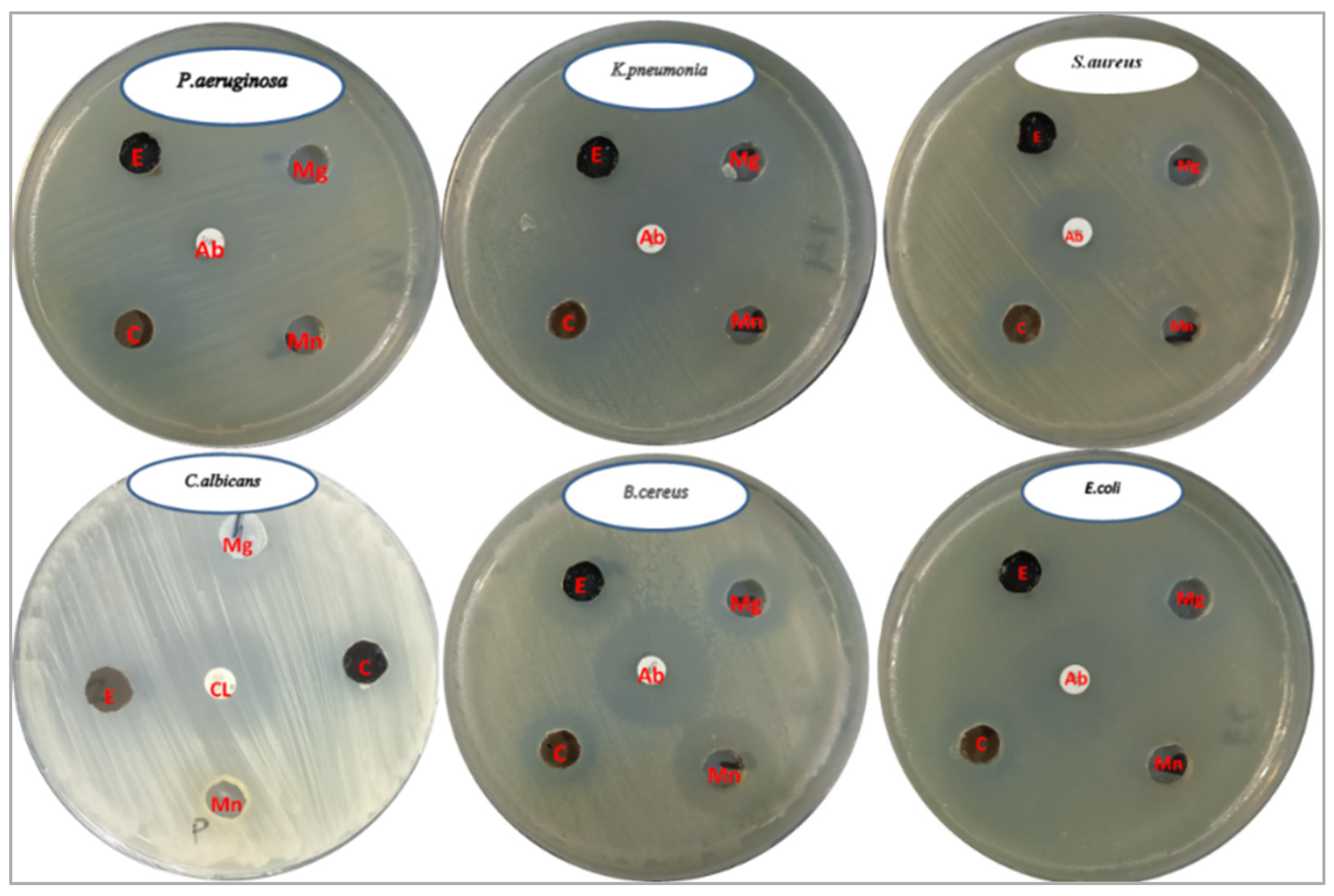 Pharmaceuticals 18 01262 g008